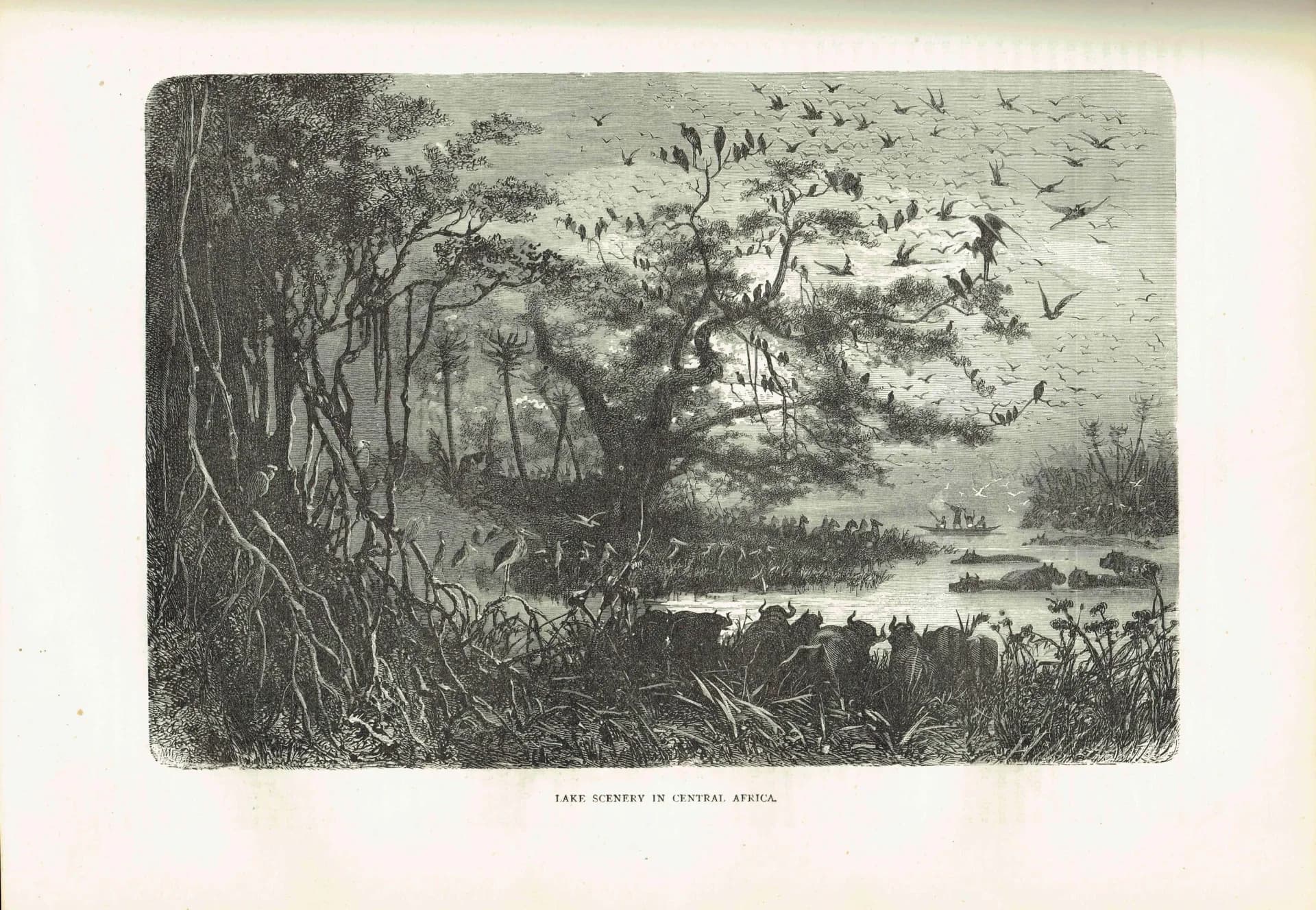 1870s Lake Scenery Central Africa - Antique Woodblock Print - Victorian Travel Wildlife Illustration - 11.5 x 8 in