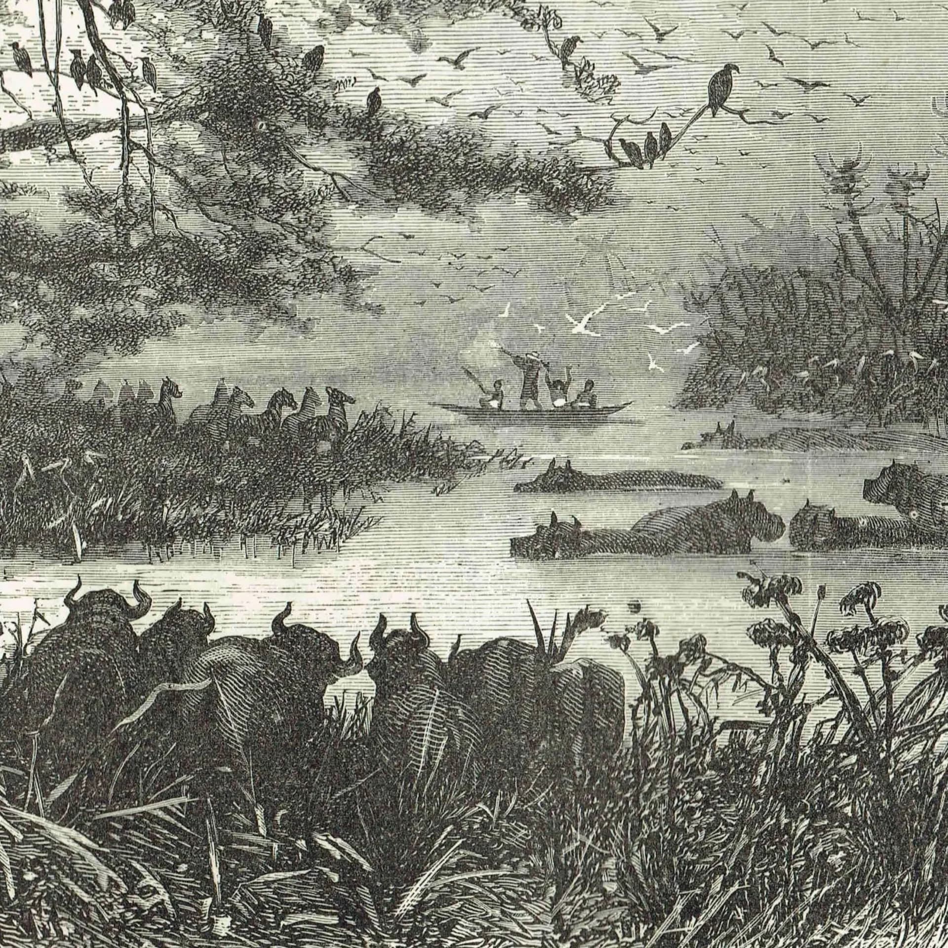 1870s Lake Scenery Central Africa - Antique Woodblock Print - Victorian Travel Wildlife Illustration - 11.5 x 8 in