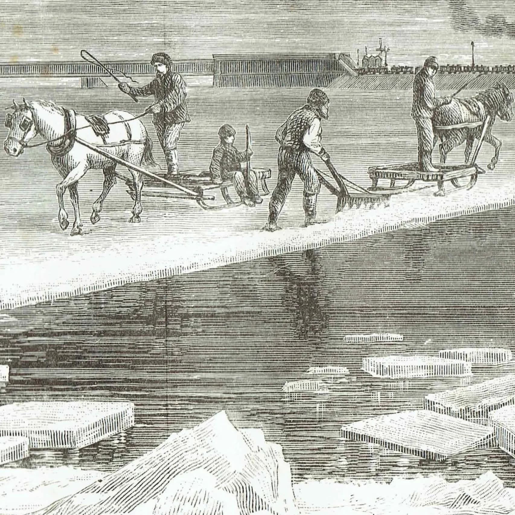 1885 Ice Cutting on the St. Lawrence - Antique Print By Lorne - Canadian Pictures Victorian Labour Scene - 10 x 7 in
