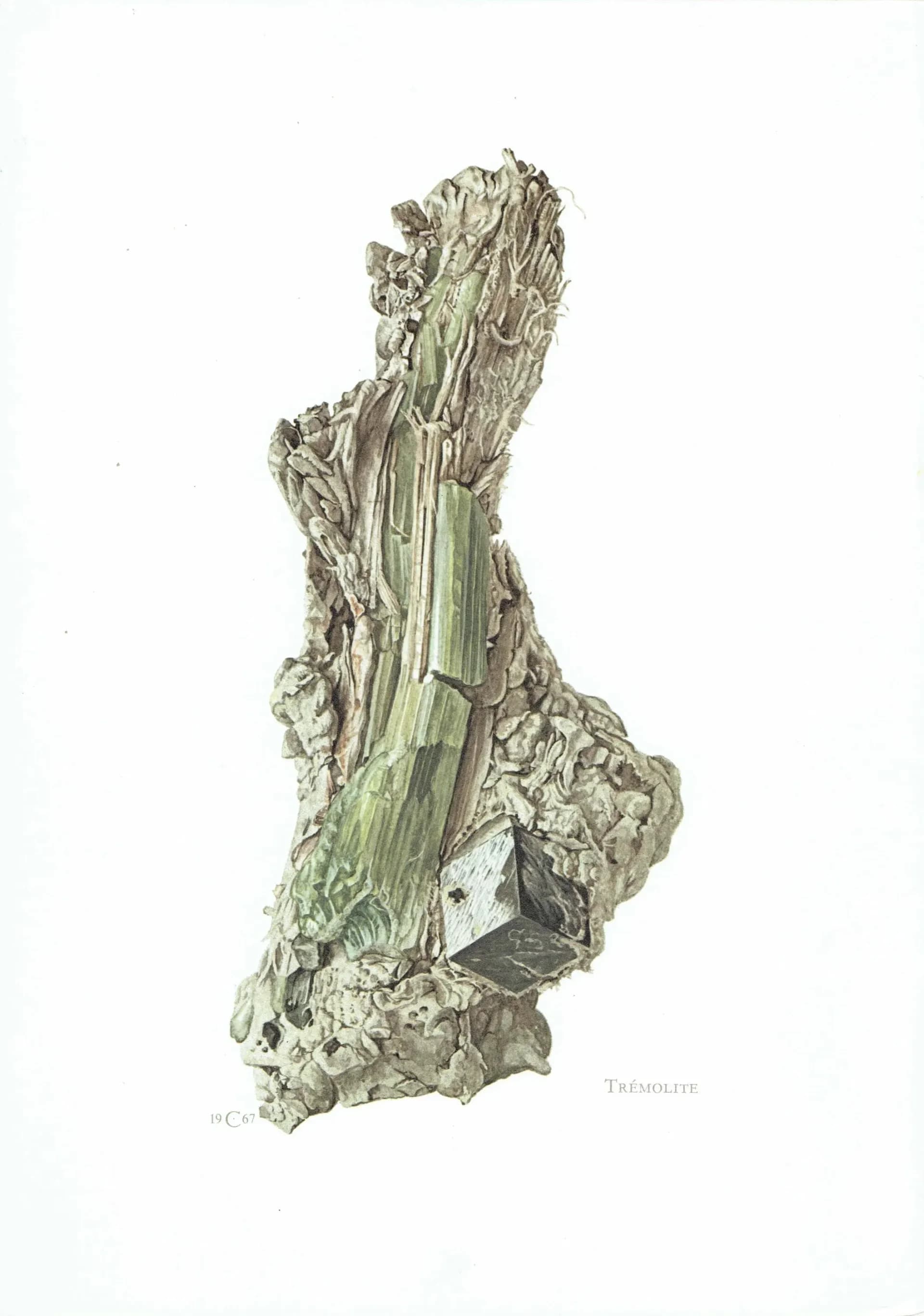1969 Tremolite Crystal - Original Vintage Print By Caspari - Mineral Study Scientific Natural History Geology Art - 7.5 x 10.5 in