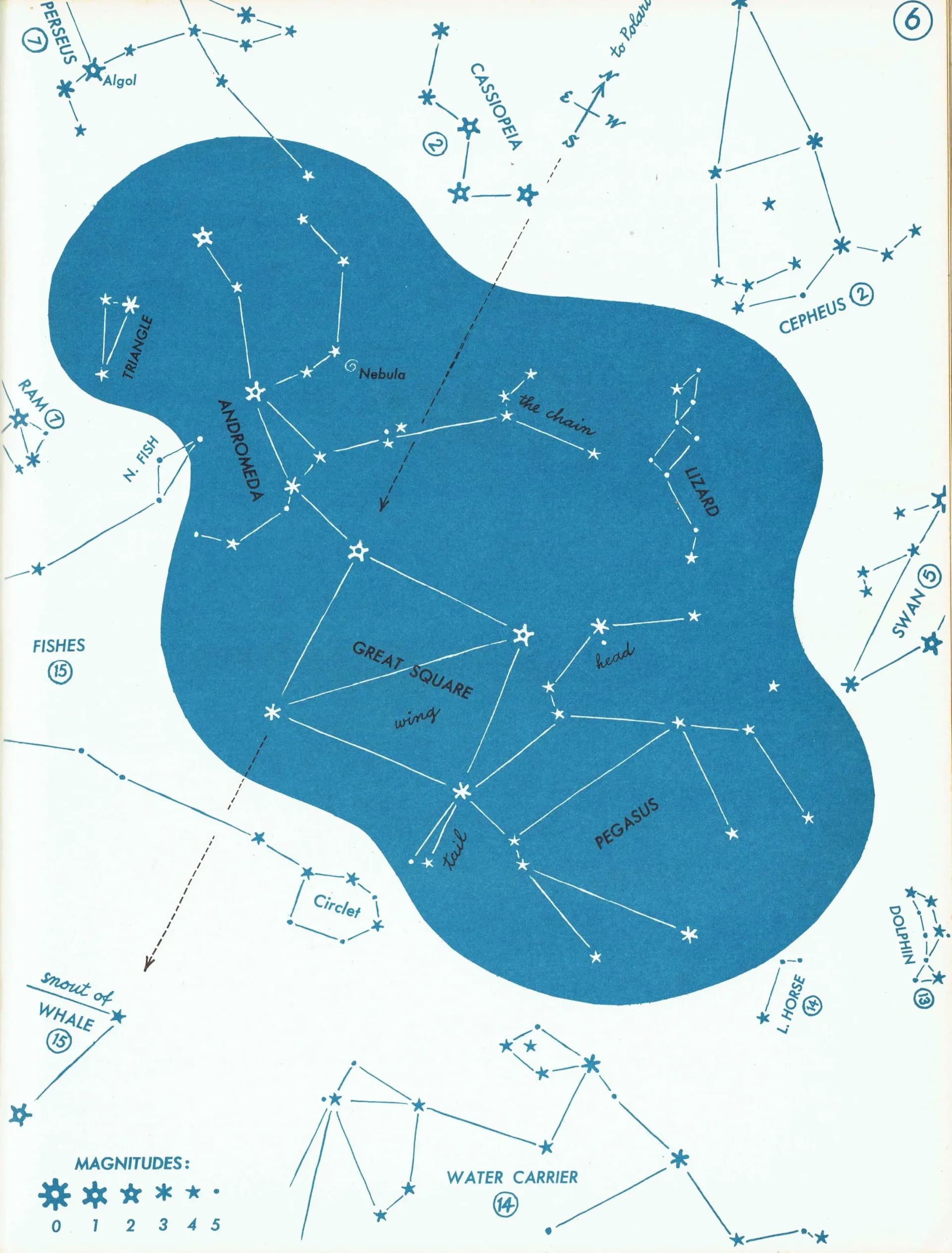 1952 Pegasus Constellation - Original Vintage Print By Rey - Astronomy Star Chart Celestial Educational Zodiac Map - 8 x 11 in
