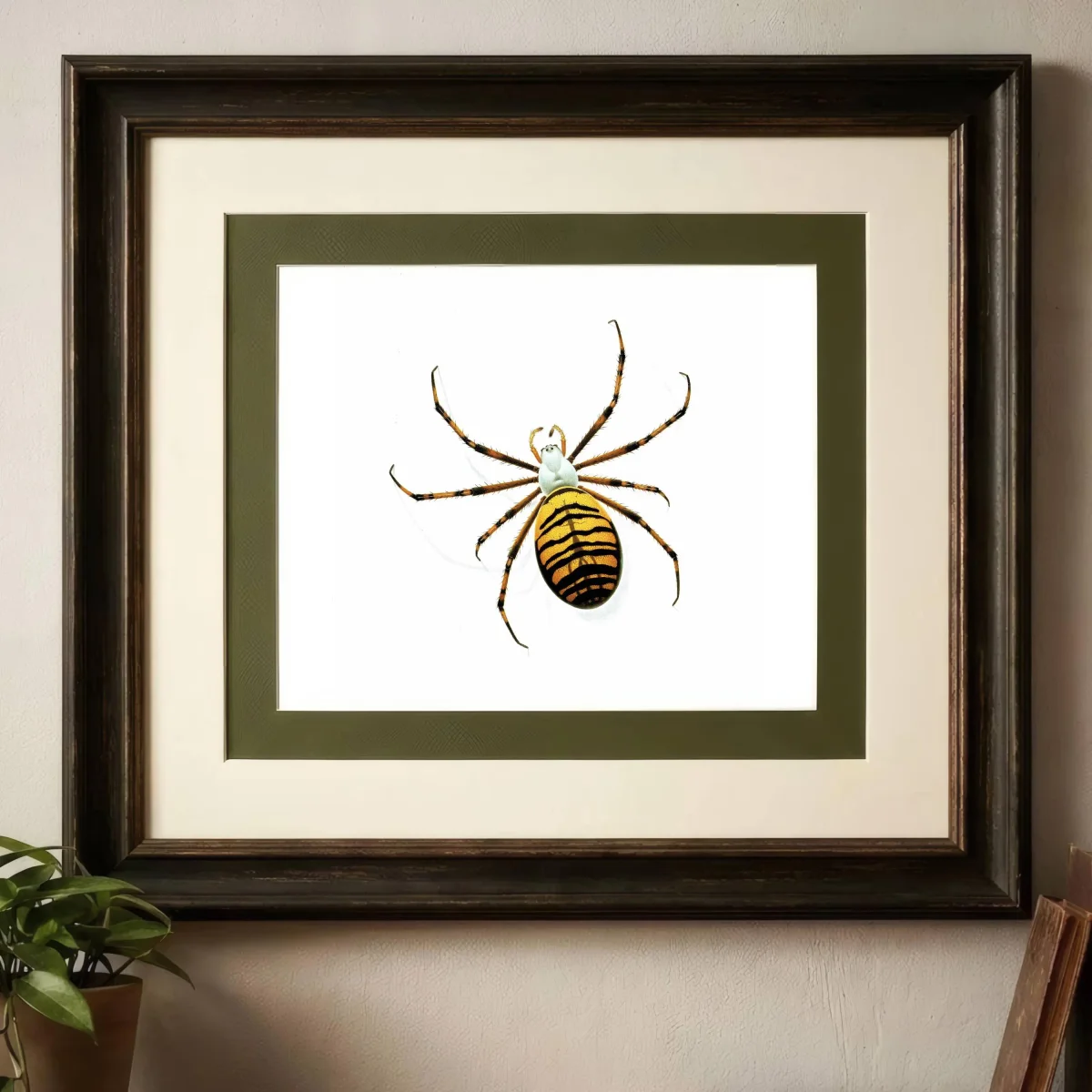 1986 Wasp Orb-Weaver Spider Argiope Bruennichii Print - Durin Bernard Les Insectes Scientific Illustration - Scopoli Entomology - 11 x 13 in