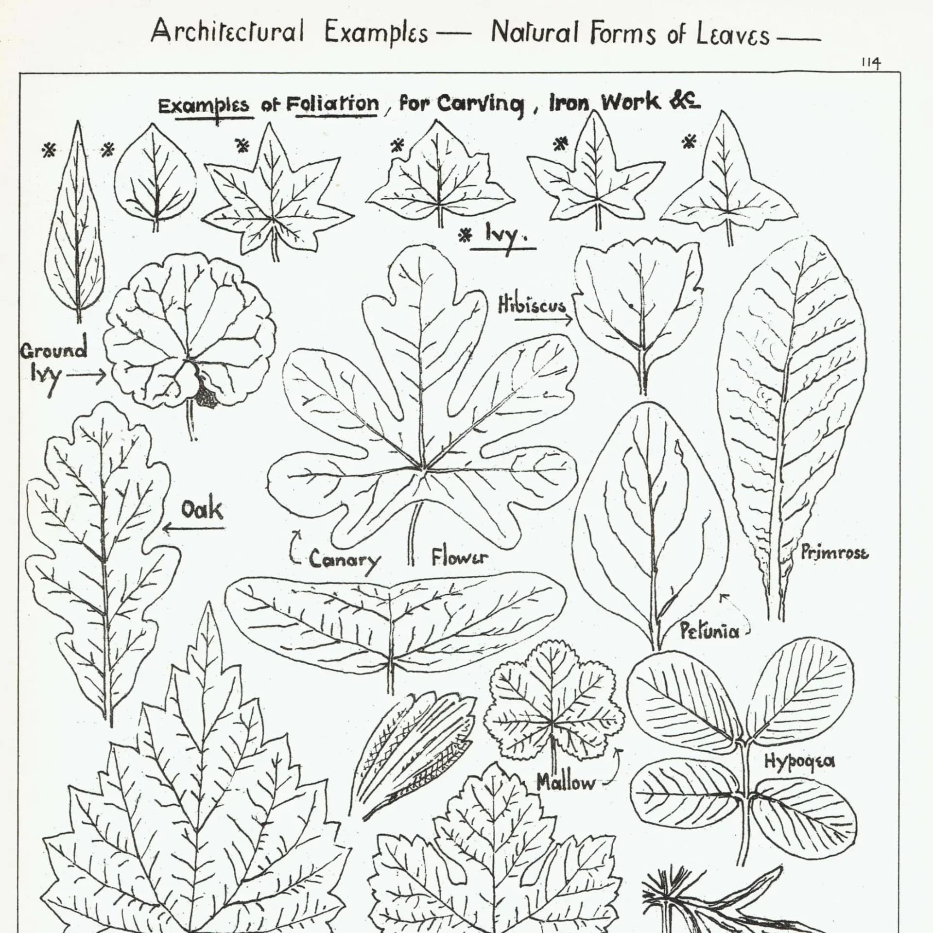 1898 Architectural Leaf Studies Print - Ivy, Oak, Holly, Mallow, Vine & Decorative Botanical Motifs - Antique Design Plate - 8 x 10.75 in