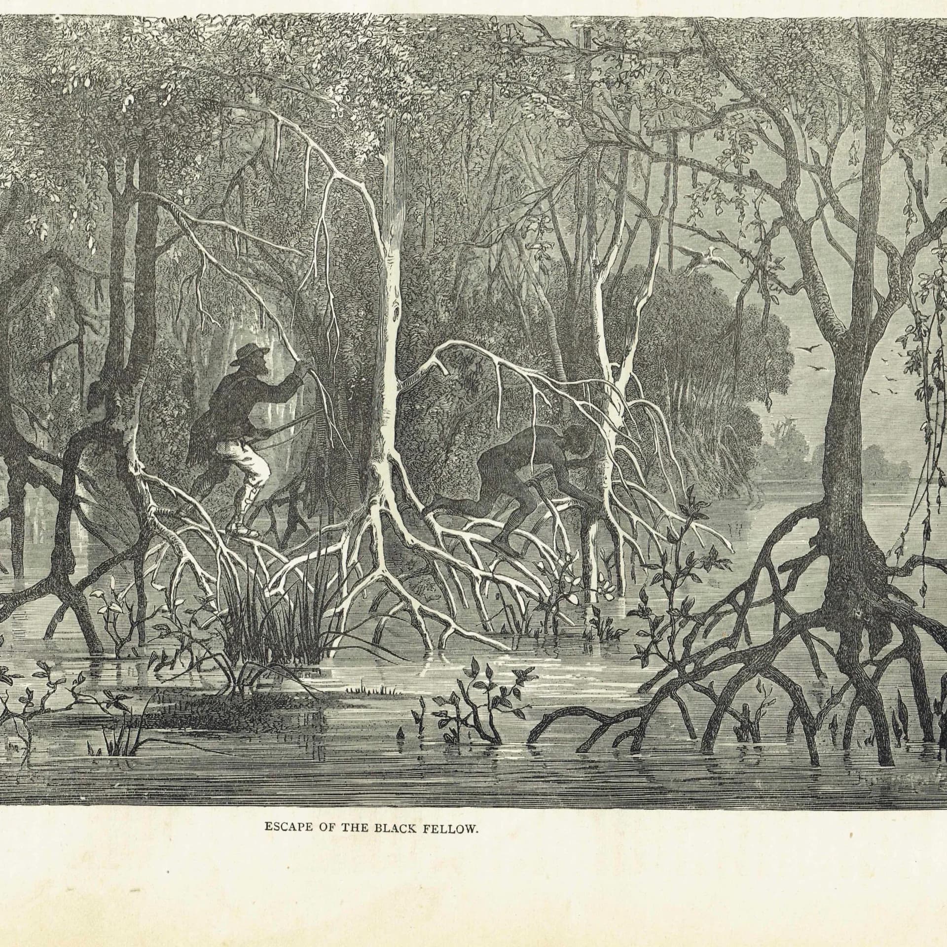 1875 Swamp Chase Scene - Antique Engraving By Bates - Illustrated Travels Vol 6 Victorian Mangrove Swamp Scene - 11.5 x 8 in