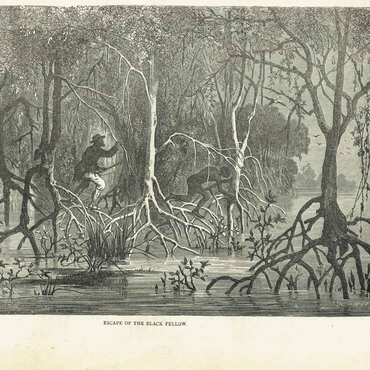 1875 Swamp Chase Scene - Antique Engraving By Bates - Illustrated Travels Vol 6 Victorian Mangrove Swamp Scene - 11.5 x 8 in