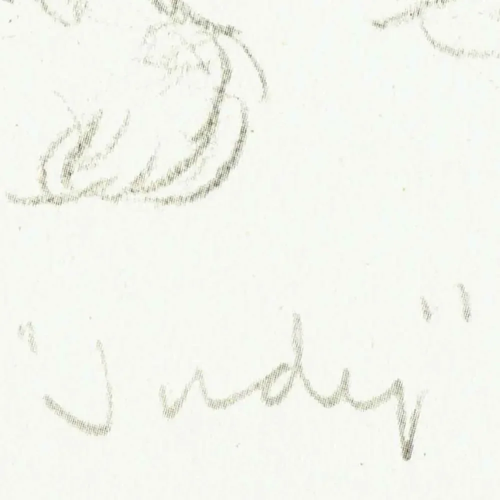 1946 Cairn Terrier 'Judy' - Original Vintage Print By Dawson - Dog Portrait Pet Art Neighbours Book Illustration - 7 x 9.5 in