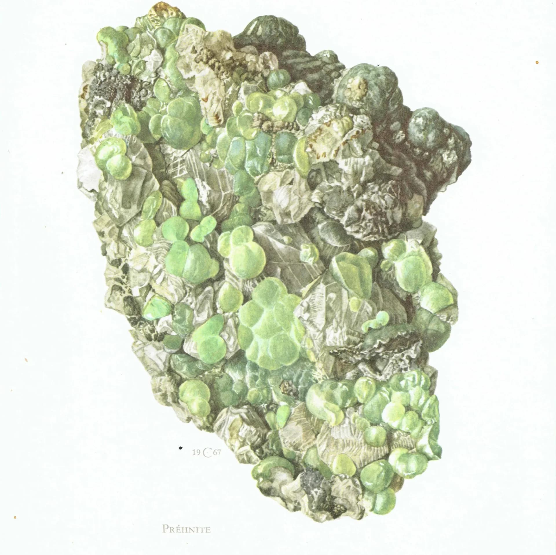 1969 Prehnite Mineral - Original Vintage Print By Caspari - Scientific Natural History Geology Study Collection - 7.5 x 10.5 in