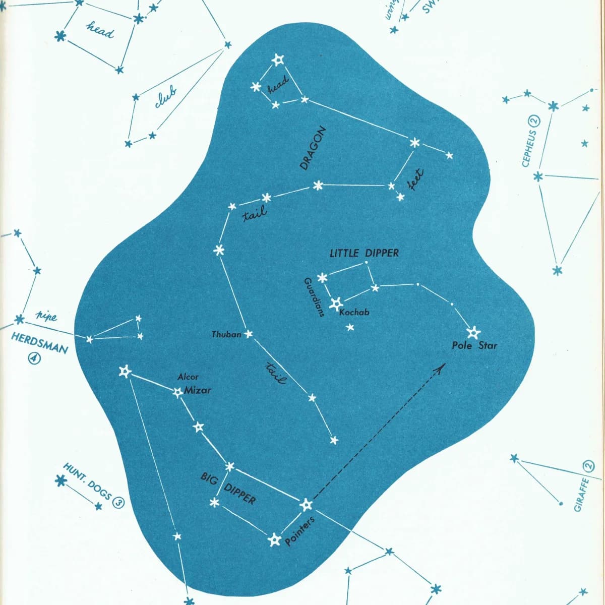1952 Dragon Big Dipper Little Dipper - Original Vintage Print By H.A. Rey - Celestial Star Chart Constellation Astronomy Map - 8 x 11 in