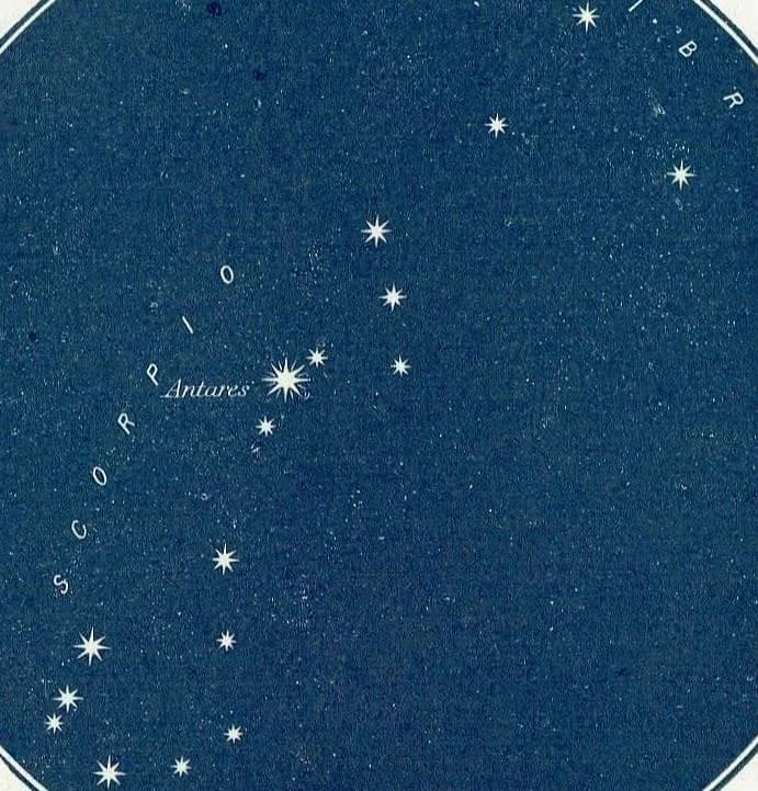 1944 Antares Constellation - Original Vintage Print By Gall - Star Chart Celestial Map Astronomy Science Atlas - 4 x 6 in