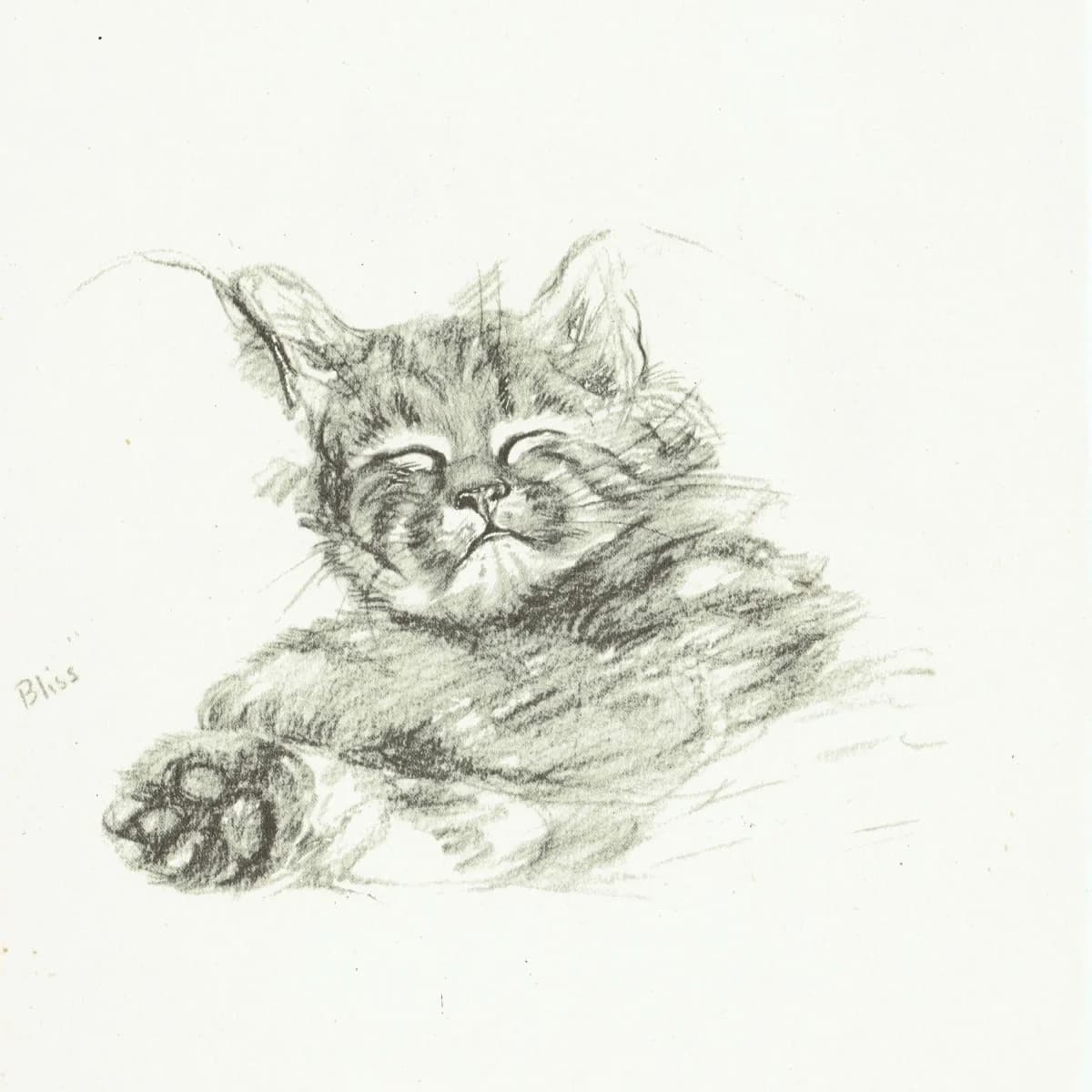 1946 Sleeping Kitten 'Bliss' - Original Vintage Print By Dawson - Cat Portrait Pet Animal Art Neighbours Book - 7 x 9.5 in