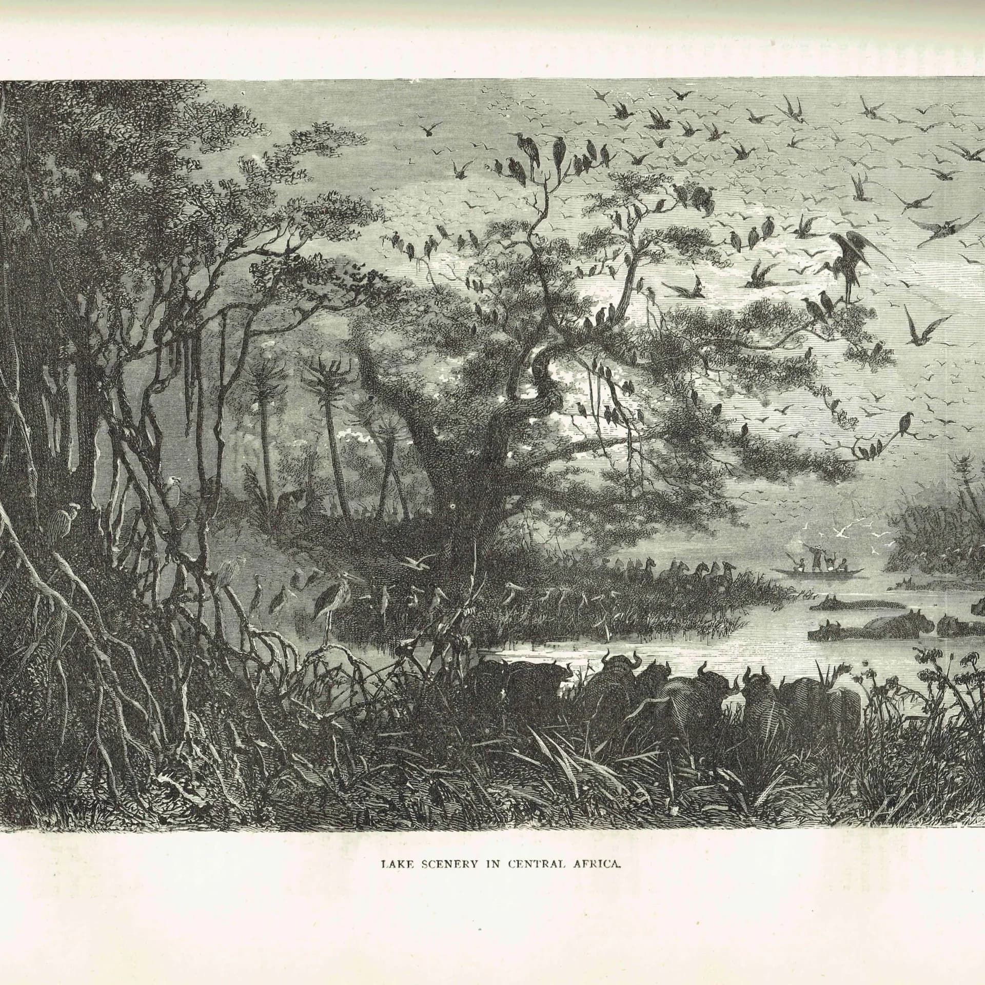 1870s Lake Scenery Central Africa - Antique Woodblock Print - Victorian Travel Wildlife Illustration - 11.5 x 8 in