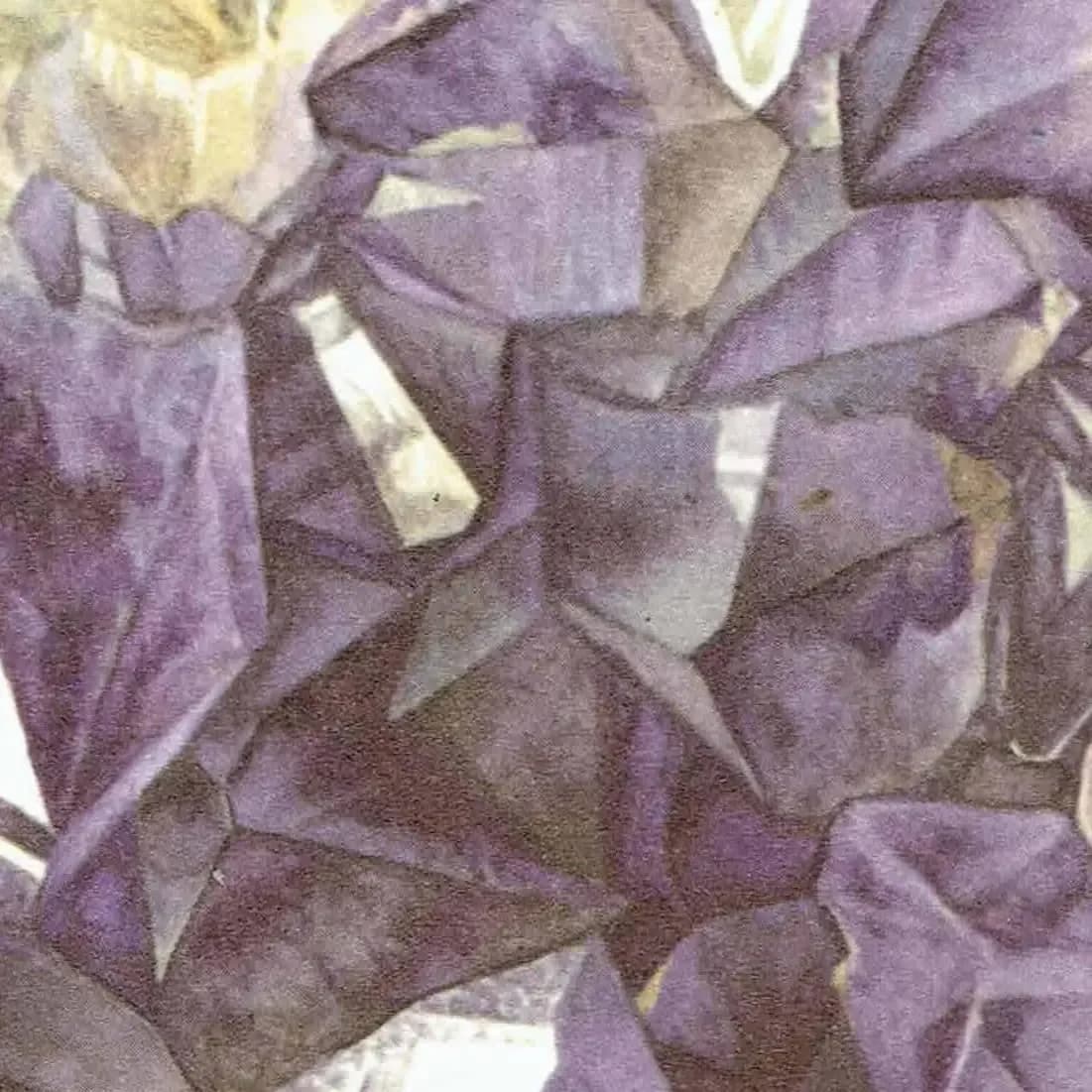 1969 Amethyst Geode - Original Vintage Print By Caspari - Mineral Study Scientific Natural History Geology Art - 7.5 x 10.5 in