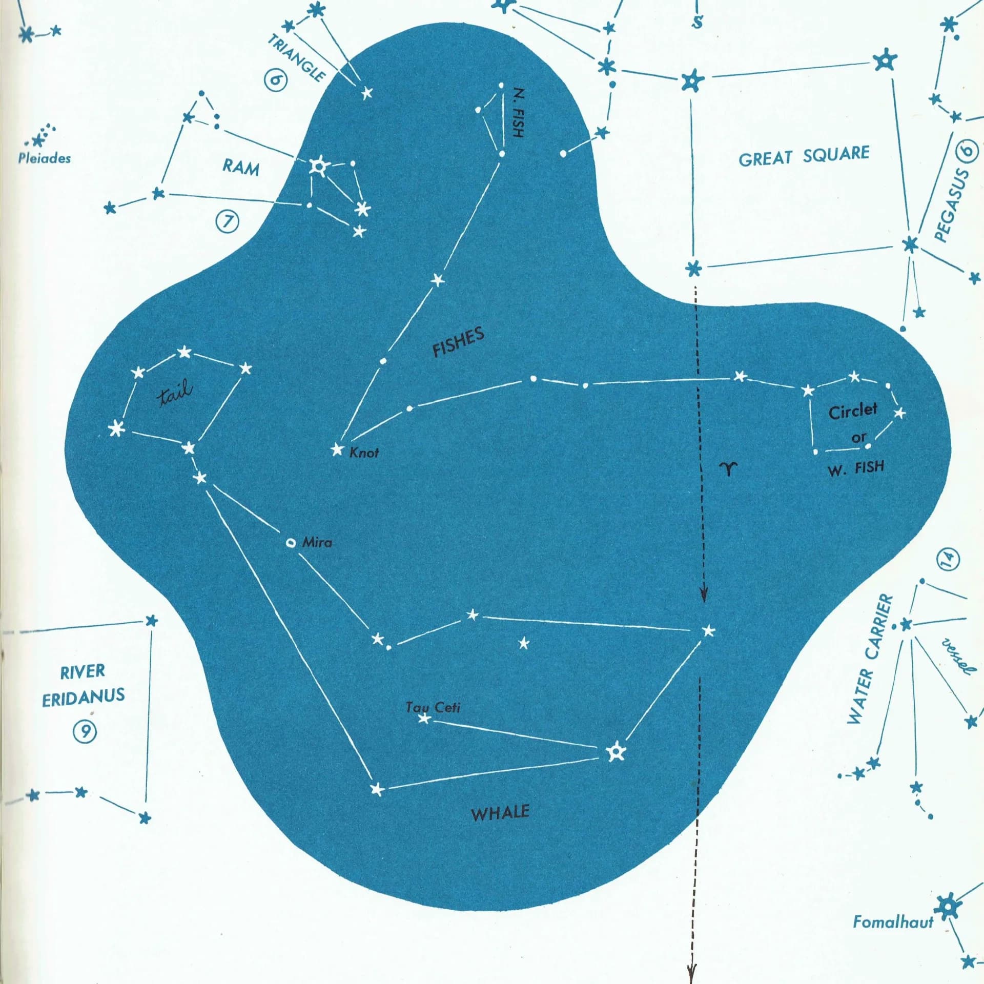 1952 Pisces Constellation Chart - Original Vintage Print By H.A. Rey - Zodiac Astronomy Star Map Celestial Navigation - 8 x 11 in