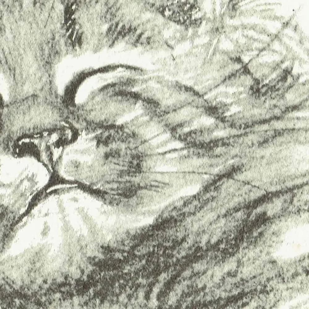 1946 Sleeping Kitten 'Bliss' - Original Vintage Print By Dawson - Cat Portrait Pet Animal Art Neighbours Book - 7 x 9.5 in