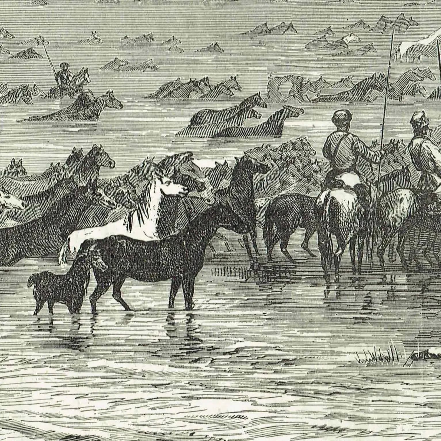 1871 Horses Crossing the Volga - Antique Engraving By Bates - Russian River Landscape Victorian Travel Scene - 11.5 x 8 in