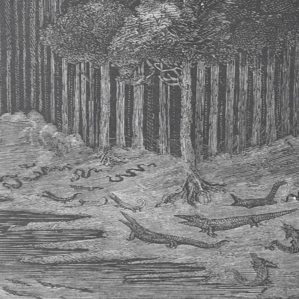 1866 Gustave Doré Wandering Jew Serpent Forest Plate 11 - Original Antique Engraving - Gothic Biblical Victorian Religious - 14 x 20 in