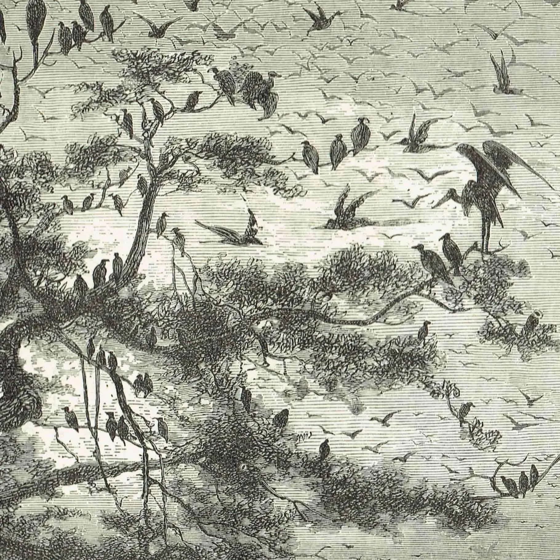1870s Lake Scenery Central Africa - Antique Woodblock Print - Victorian Travel Wildlife Illustration - 11.5 x 8 in
