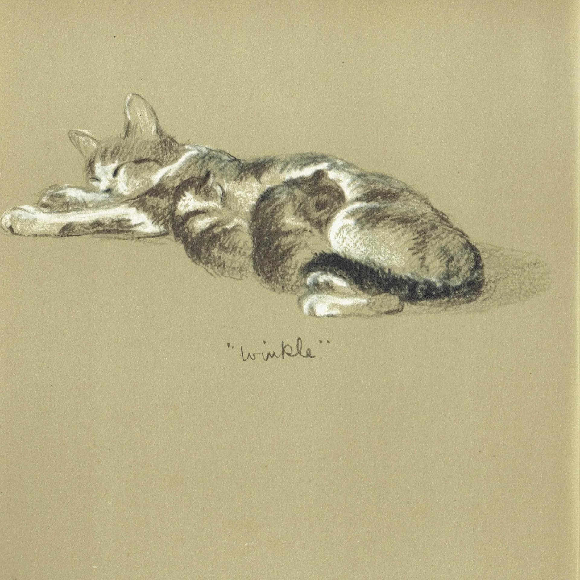 1946 Sleeping Cat "Winkle" - Original Vintage Print - Lucy Dawson Neighbours Pet Portrait Animal Art - 7 x 9.5 in