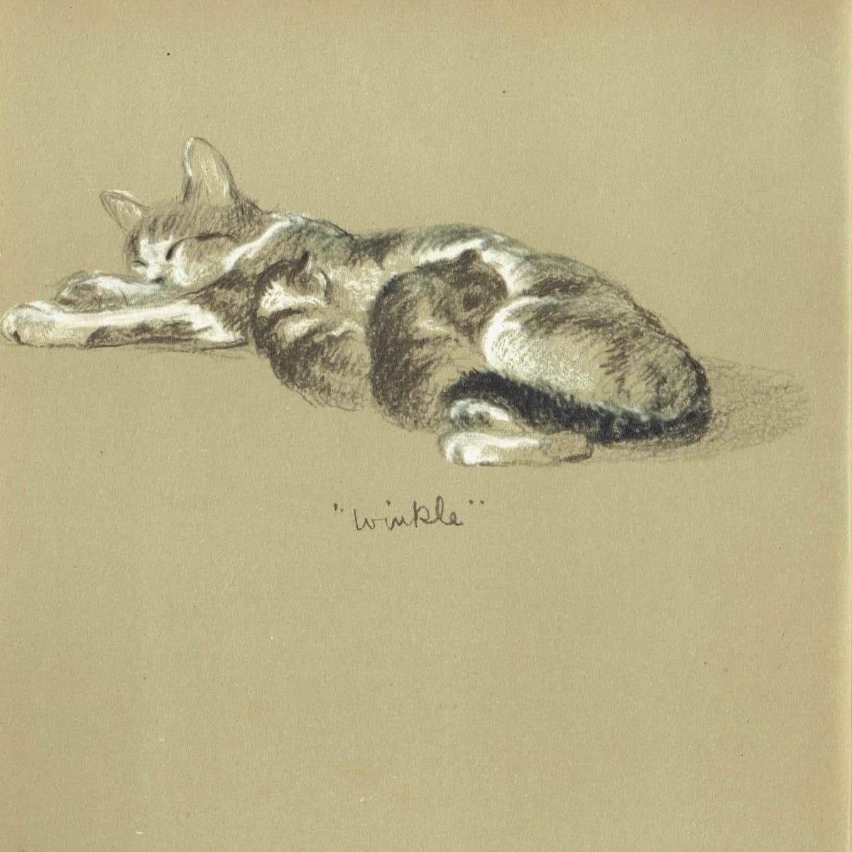 1946 Sleeping Cat "Winkle" - Original Vintage Print - Lucy Dawson Neighbours Pet Portrait Animal Art - 7 x 9.5 in