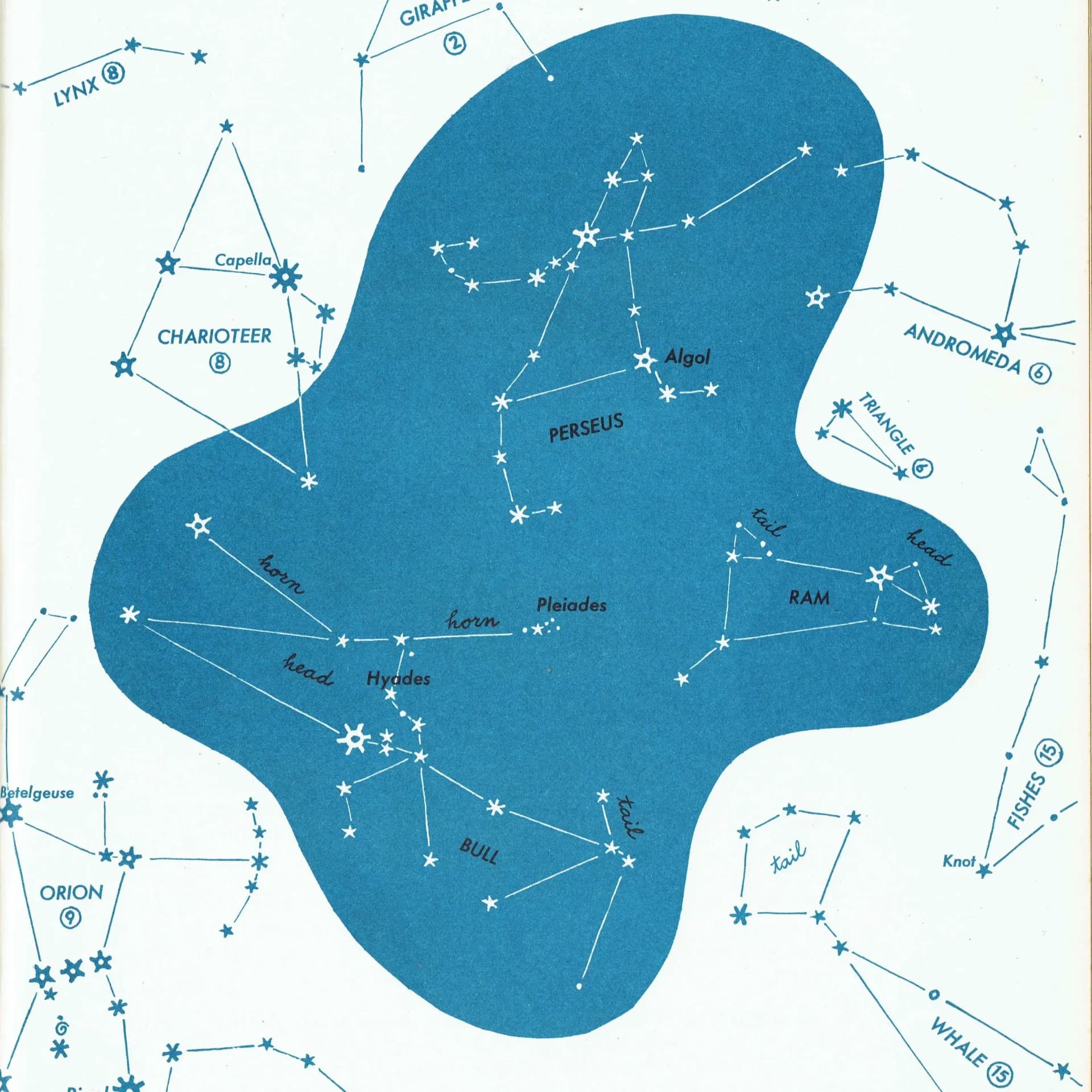 1952 Perseus Constellation Star Chart - Original Vintage Print By H.A. Rey - Celestial Astronomy Educational Zodiac Map - 8 x 11 in