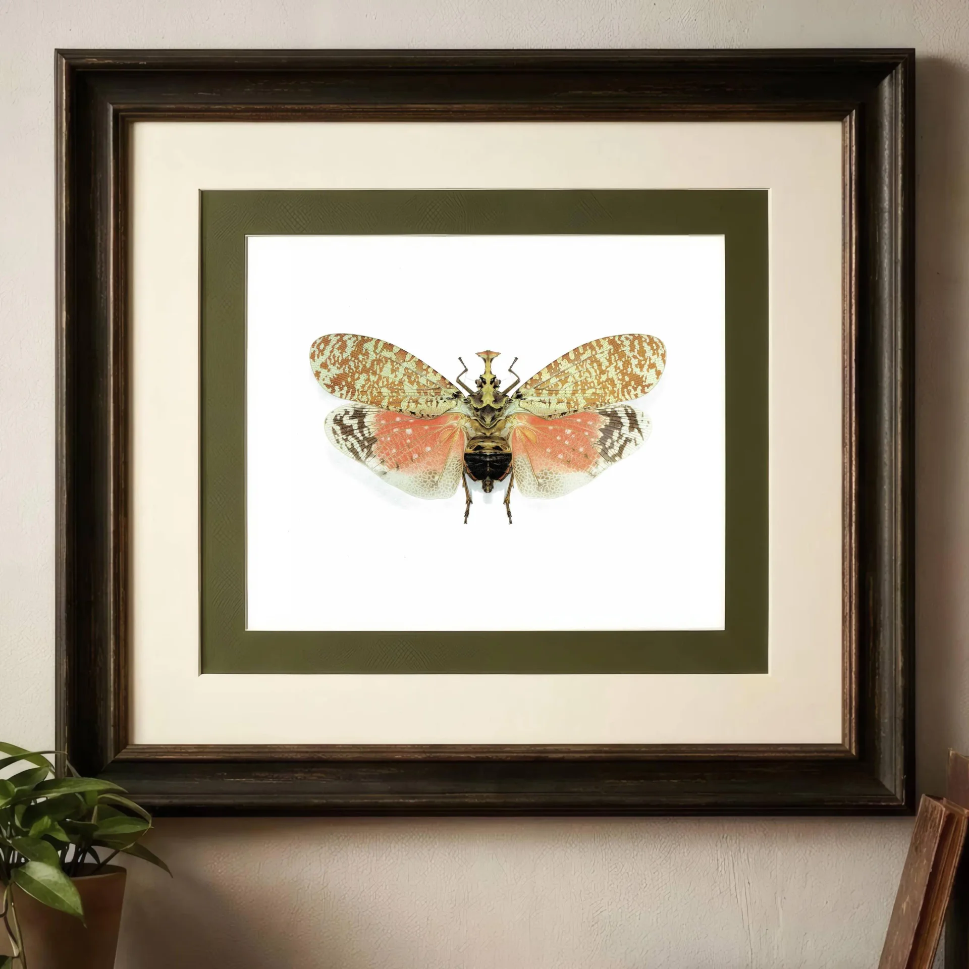 1986 Crowned Lanternfly Phrictus Diadema Print - Durin Bernard Les Insectes Scientific Illustration - Linnaeus Entomology - 11 x 13 in