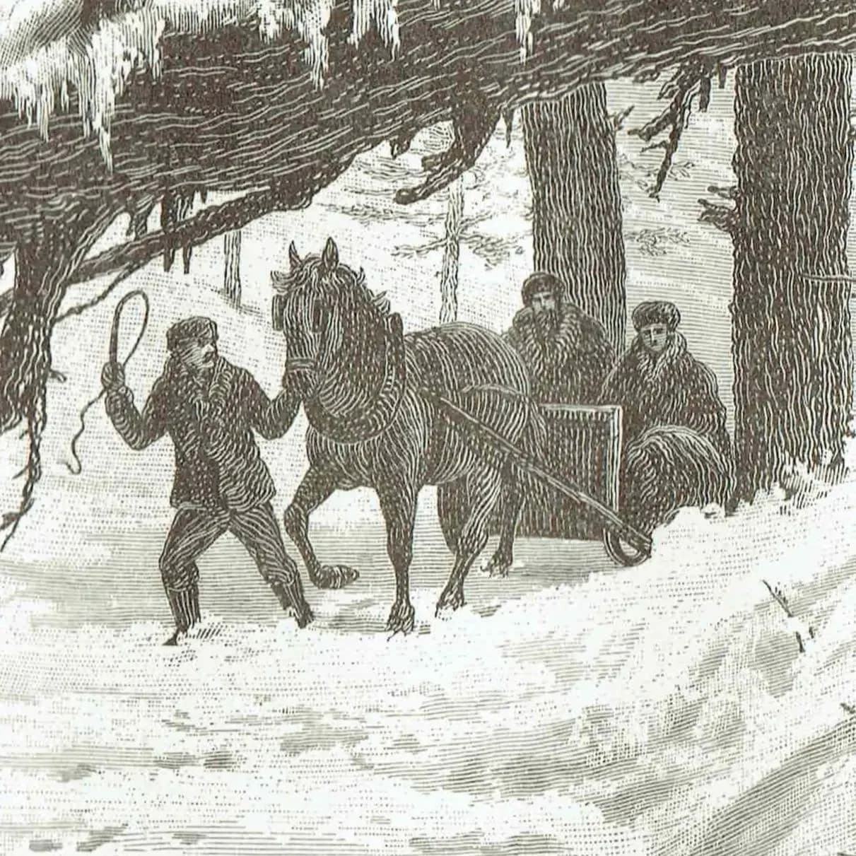 1885 Canadian Forest Path in Winter - Original Antique Engraving By Whymper - Victorian Landscape Snow Scene Travel - 10.75 x 7.25 in