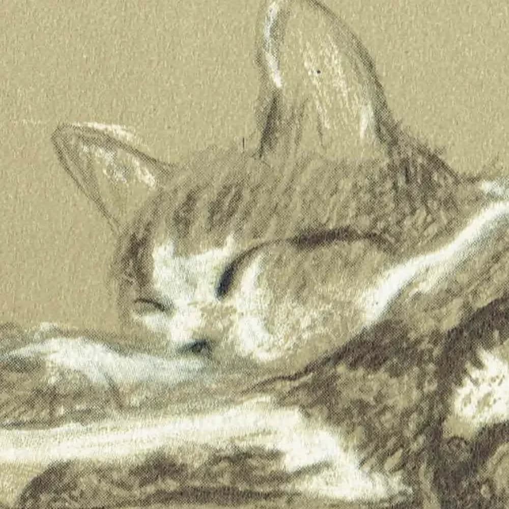 1946 Sleeping Cat "Winkle" - Original Vintage Print - Lucy Dawson Neighbours Pet Portrait Animal Art - 7 x 9.5 in
