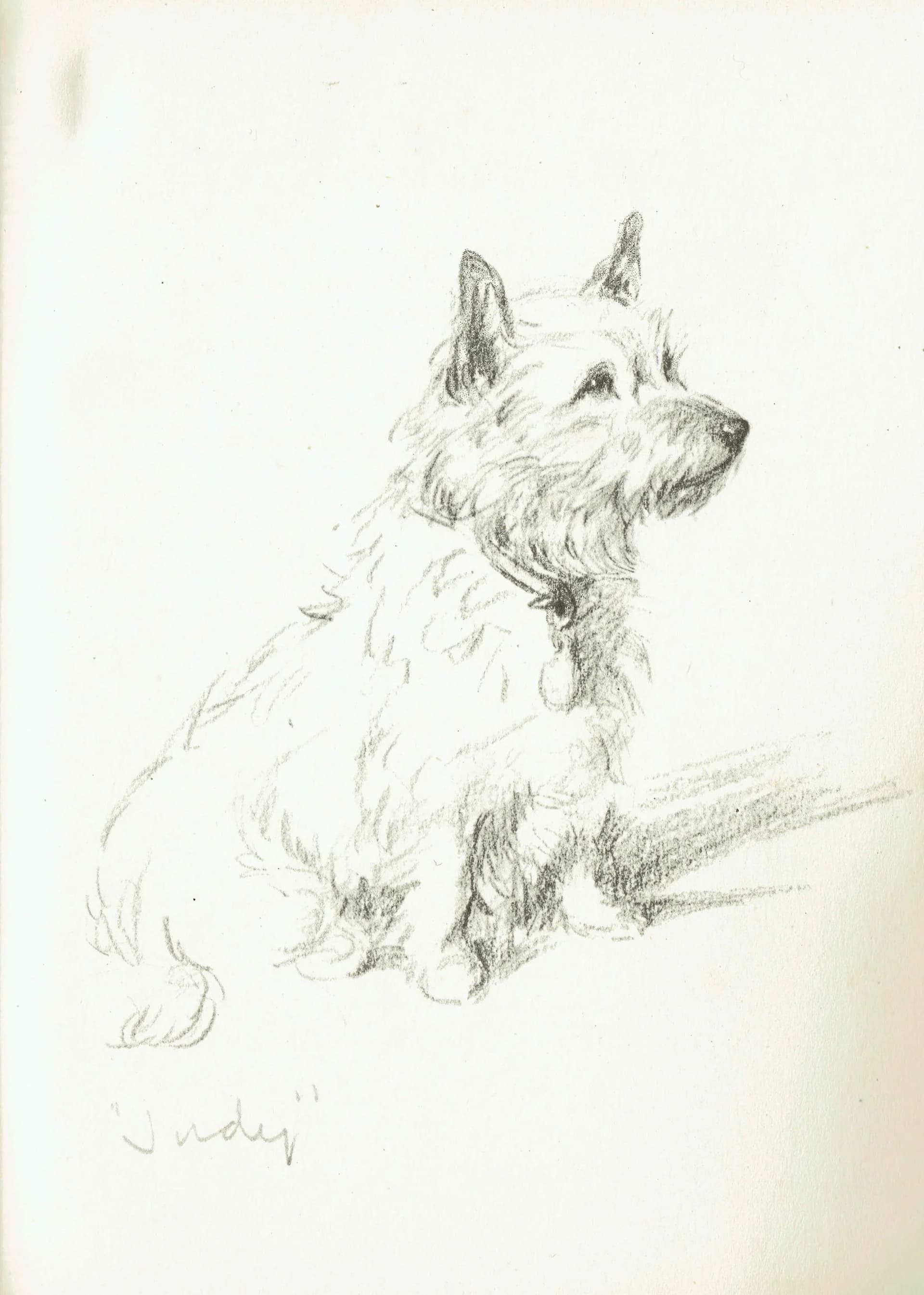 1946 Cairn Terrier 'Judy' - Original Vintage Print By Dawson - Dog Portrait Pet Art Neighbours Book Illustration - 7 x 9.5 in