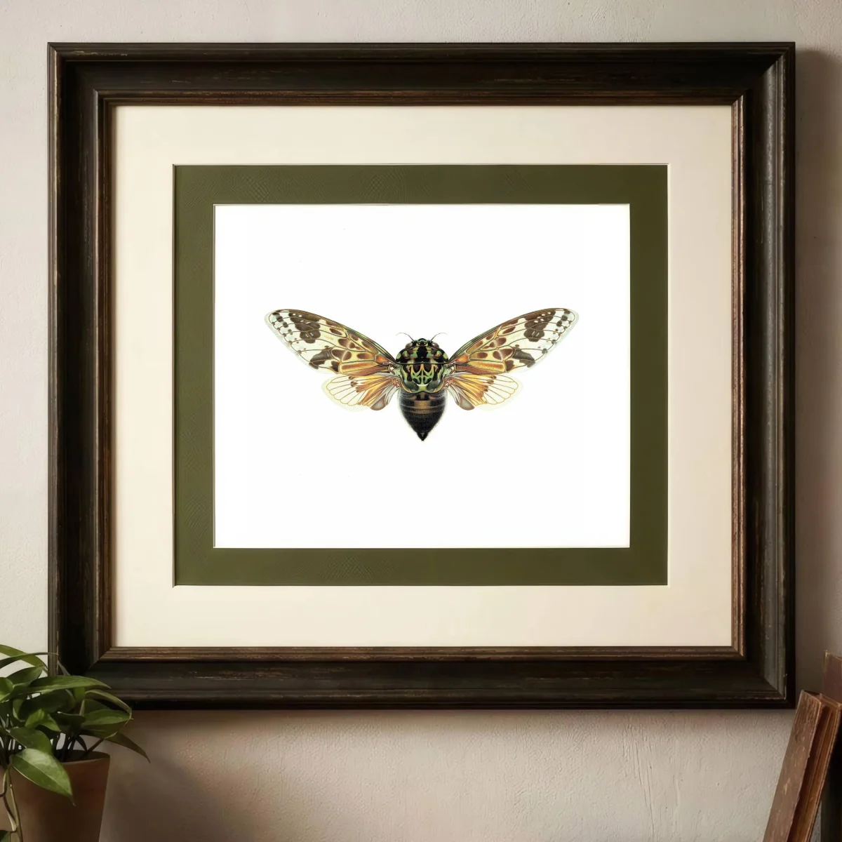 1986 Mana Cicada Pycna Antinoirii Print - Durin Bernard Scientific Illustration - Lethierry Entomology - 11 x 13 in
