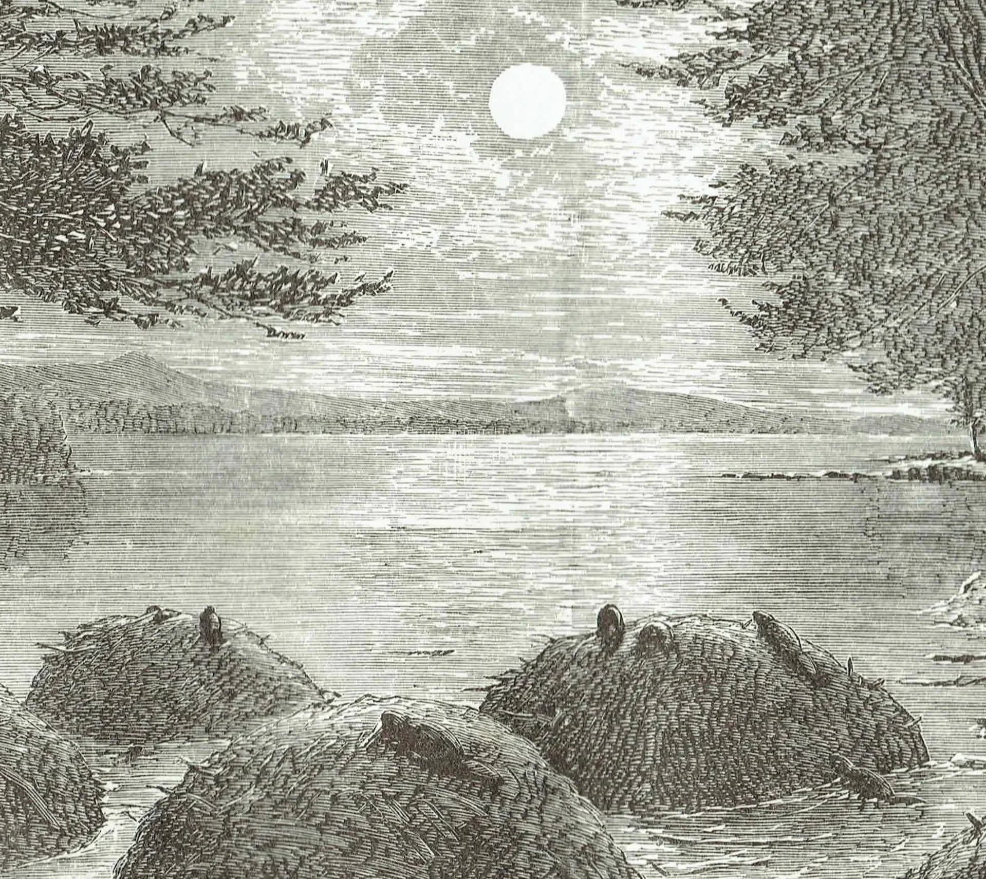 1885 Beaver Village Canada - Antique Engraving By Lorne - Canadian Wildlife Landscape Moonlit River Scene - 10 x 7 in