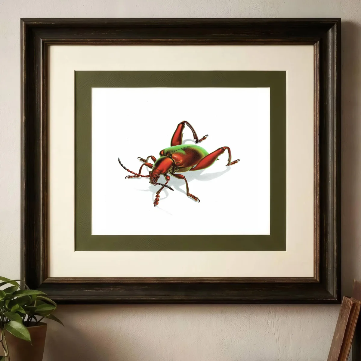 1986 Frog-Legged Leaf Beetle Sagra Femorata Print - Durin Bernard Les Insectes Scientific Illustration - Drury Entomology - 11 x 13 in