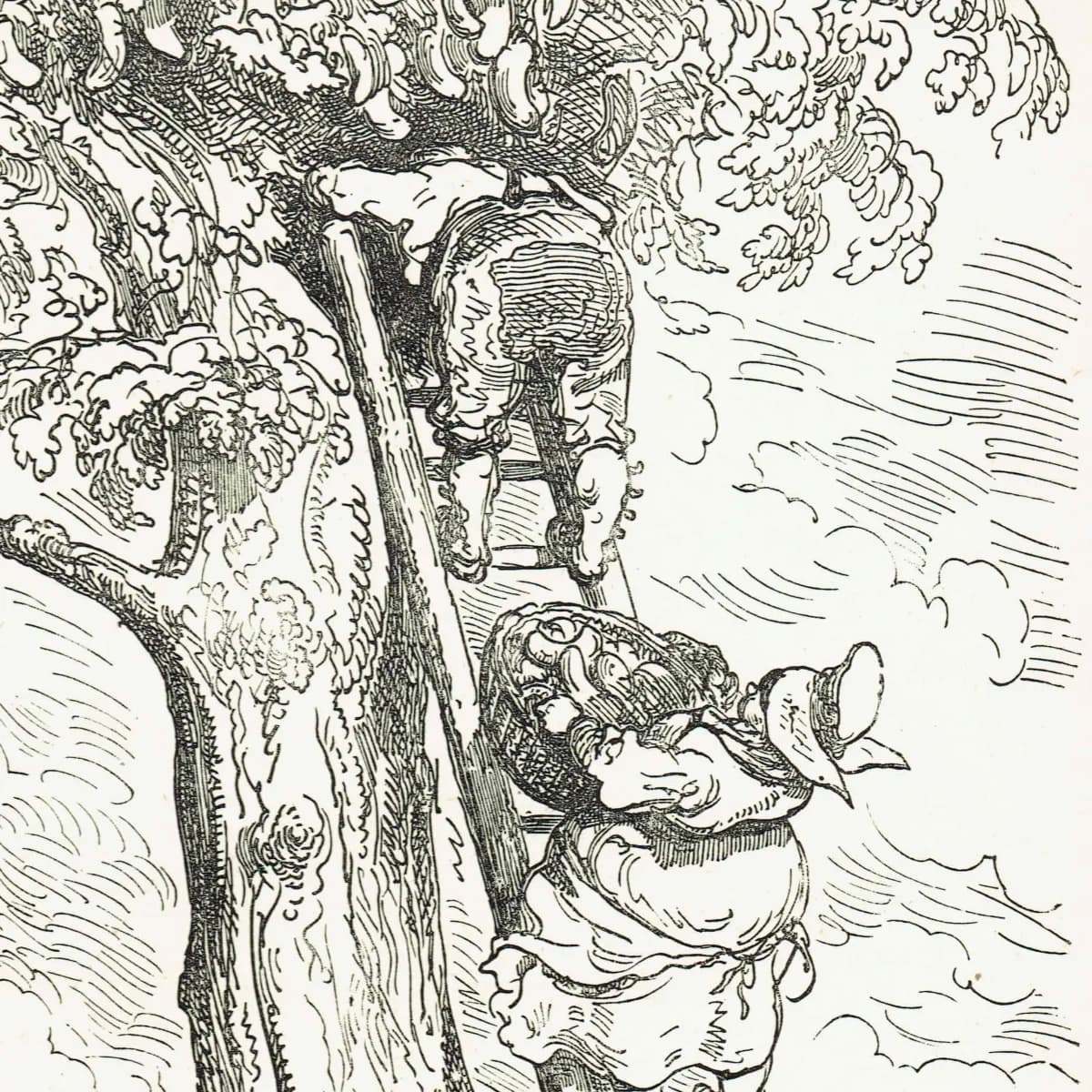 1867 Baron Munchausen Cucumber Tree - Original Antique Print By Doré - Fantasy Adventure Literary Illustration - 6 x 9 in
