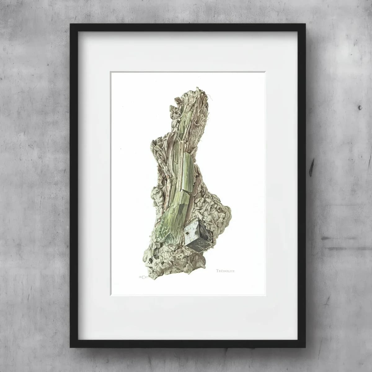 1969 Tremolite Crystal - Original Vintage Print By Caspari - Mineral Study Scientific Natural History Geology Art - 7.5 x 10.5 in