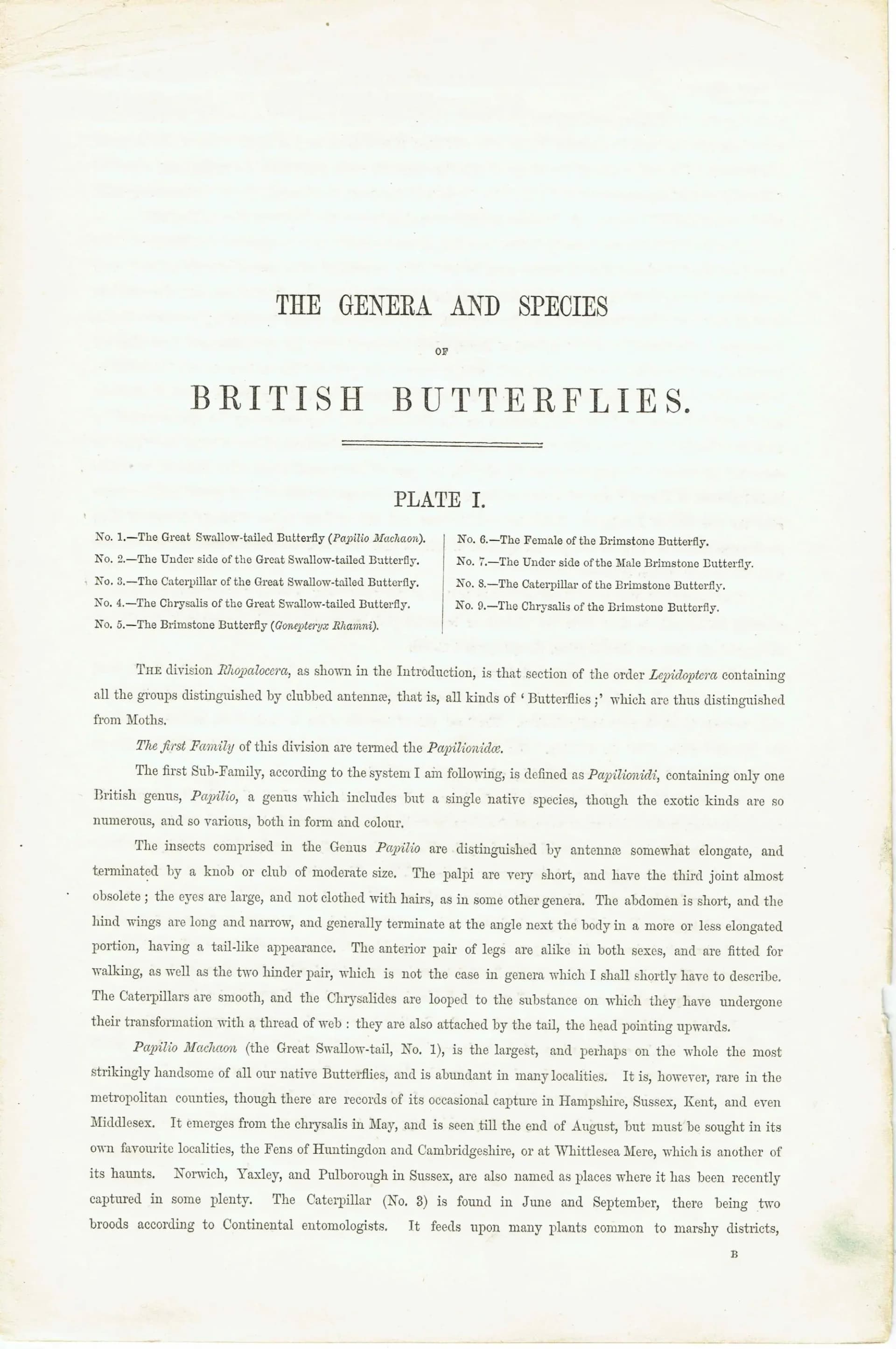 1859 Swallowtail & Brimstone Butterflies - Hand-Coloured Lithograph by Henry Noel Humphreys, Plate I - 7 x 10.4 in