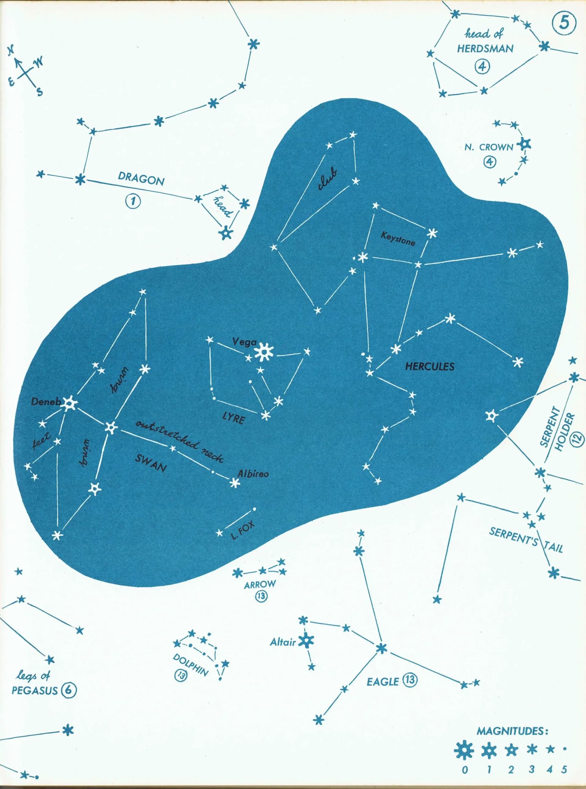 1952 Lyre, Swan Summer Constellations - Original Vintage Print By H.A. Rey - Hercules Lyre Swan Dragon Astronomy Star Chart - 8 x 11 in