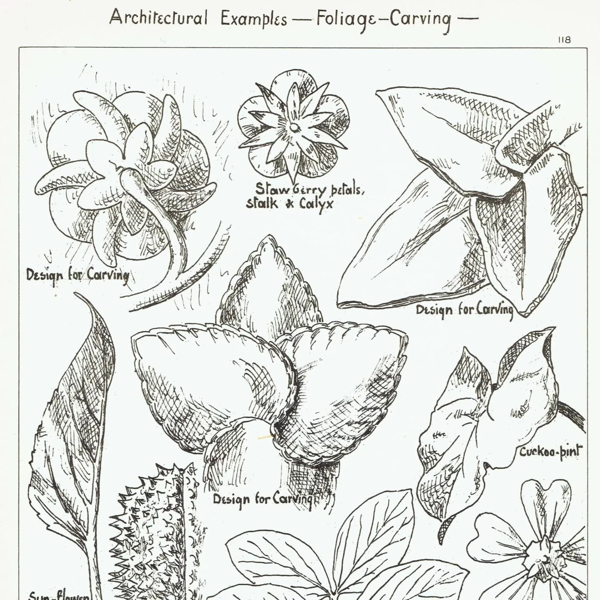 1898 Foliage Carving Architecture Print - Strawberry, Sunflower, Mallow & Bean Decorative Design Plate - 8 x 10.75 in