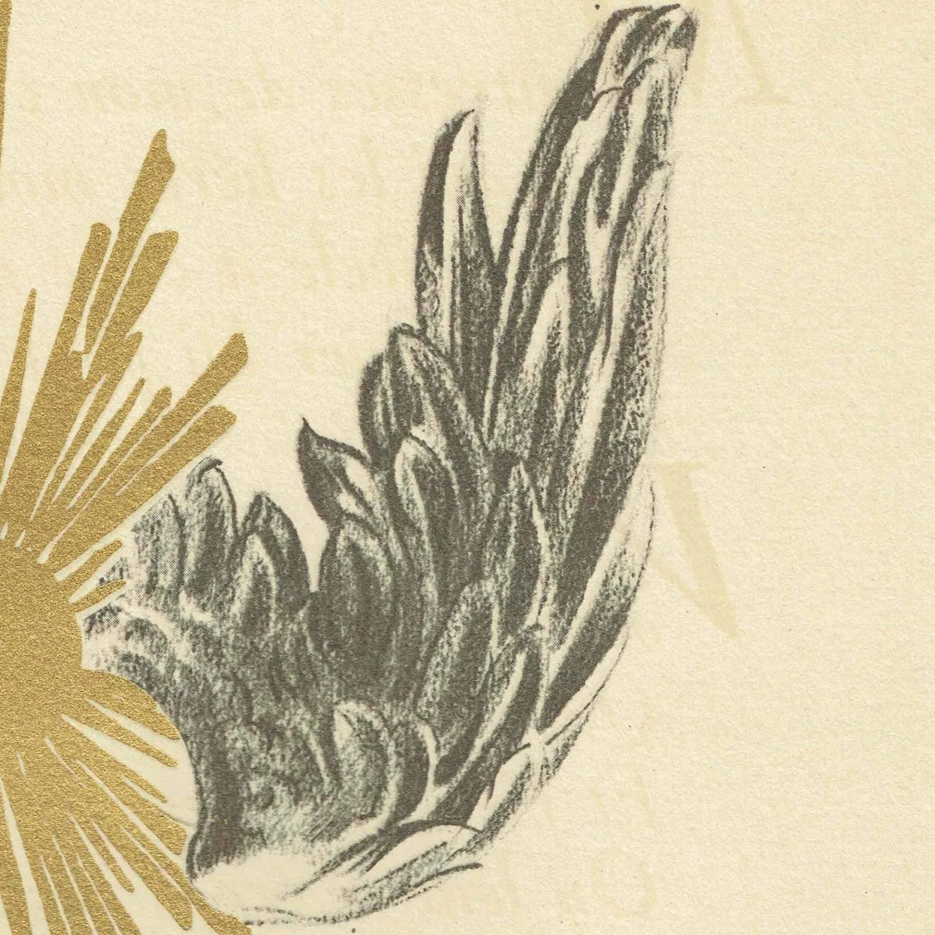 1947 Gold Sun & Heraldic Wings - Original Vintage Print - Soleils Paris Folio Arts et Métiers Graphiques Limited Edition - 10 x 13.5 in