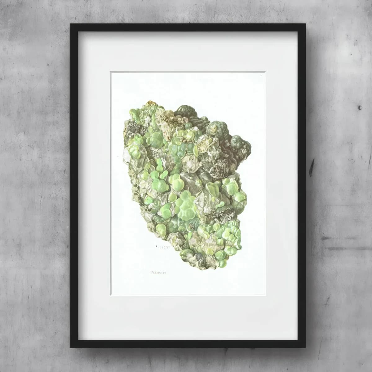 1969 Prehnite Mineral - Original Vintage Print By Caspari - Scientific Natural History Geology Study Collection - 7.5 x 10.5 in