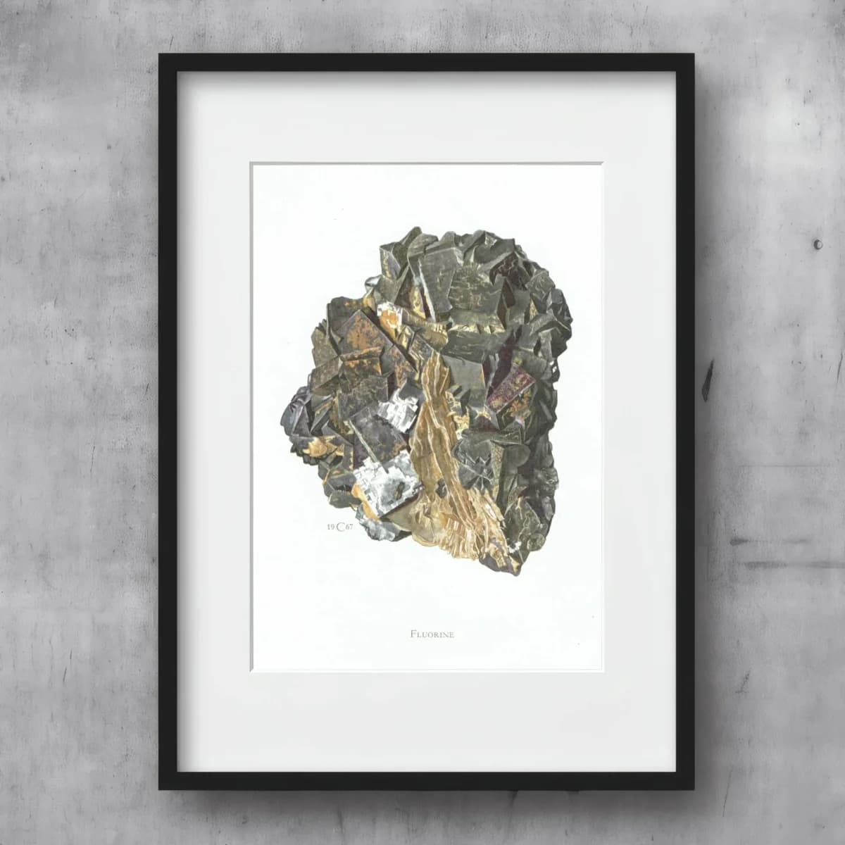 1969 Fluorine Crystal - Original Vintage Print By Caspari - Mineral Study Scientific Natural History Geology Art - 7.5 x 10.5 in