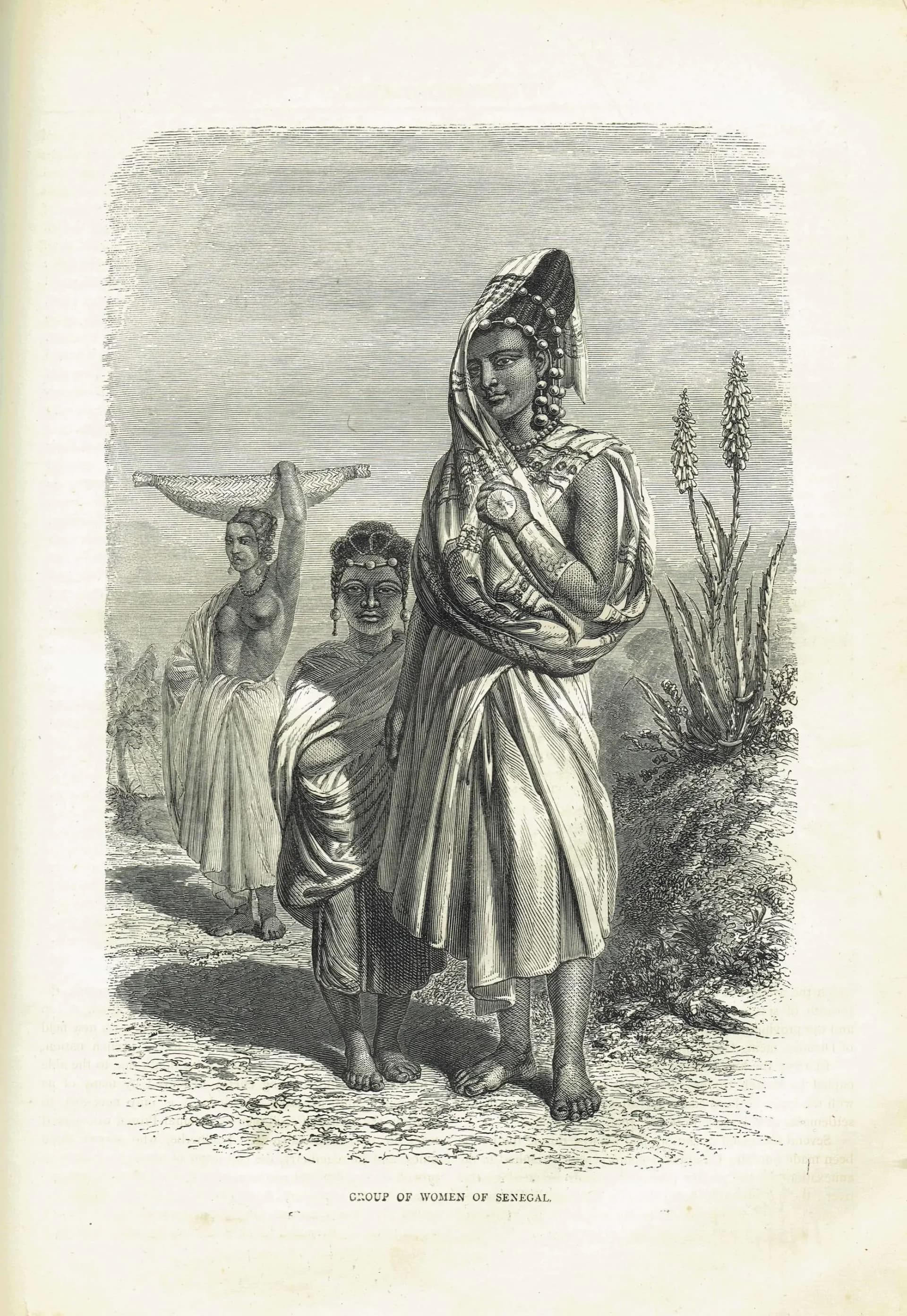 1875 Group of Women of Senegal - Antique Engraving - Illustrated Travels Bates African Portrait Study - 8 x 11.5 in