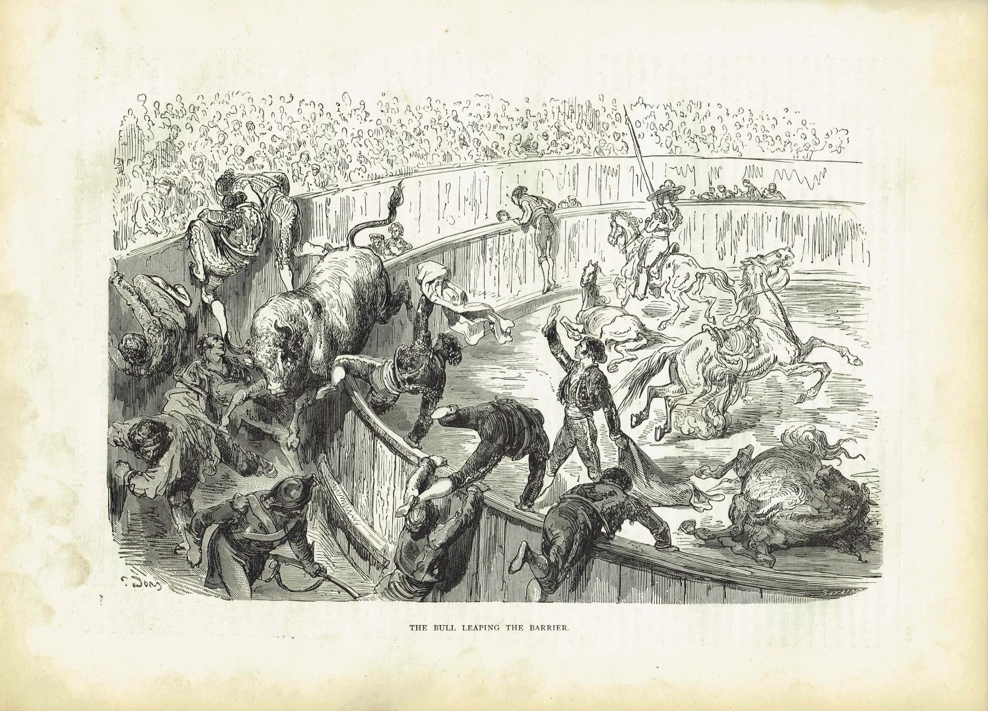 1870s Bull Leaping Arena Original Woodblock Print - Victorian Bullfighting Scene - Antique Book Illustration - 12 x 8.5 in