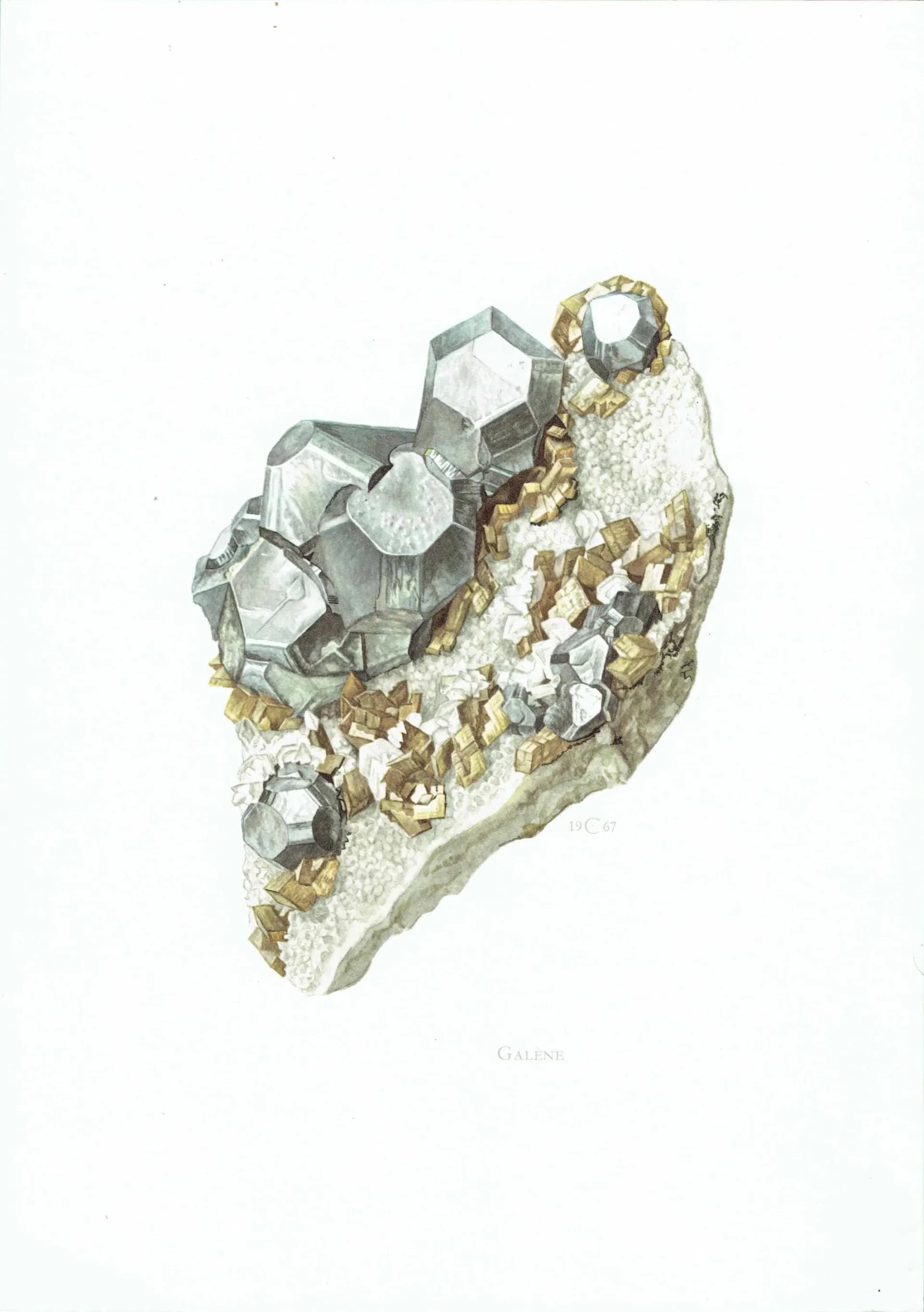 1969 Galene Crystal - Original Vintage Print By Caspari - Mineral Study Scientific Natural History Geology Art - 7.5 x 10.5 in