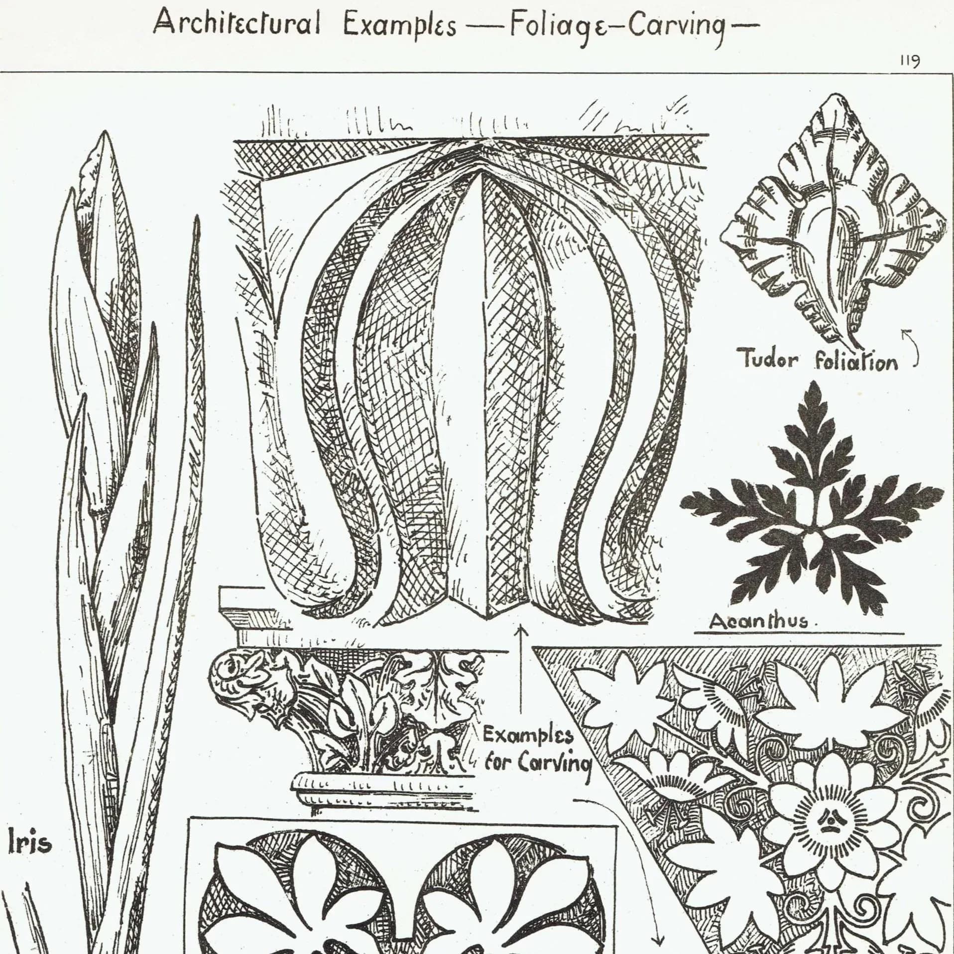 1898 Foliage Carving Architecture Print - Tudor Foliation, Acanthus & Iris Motifs - Antique Decorative Design Plate - 8 x 10.75 in