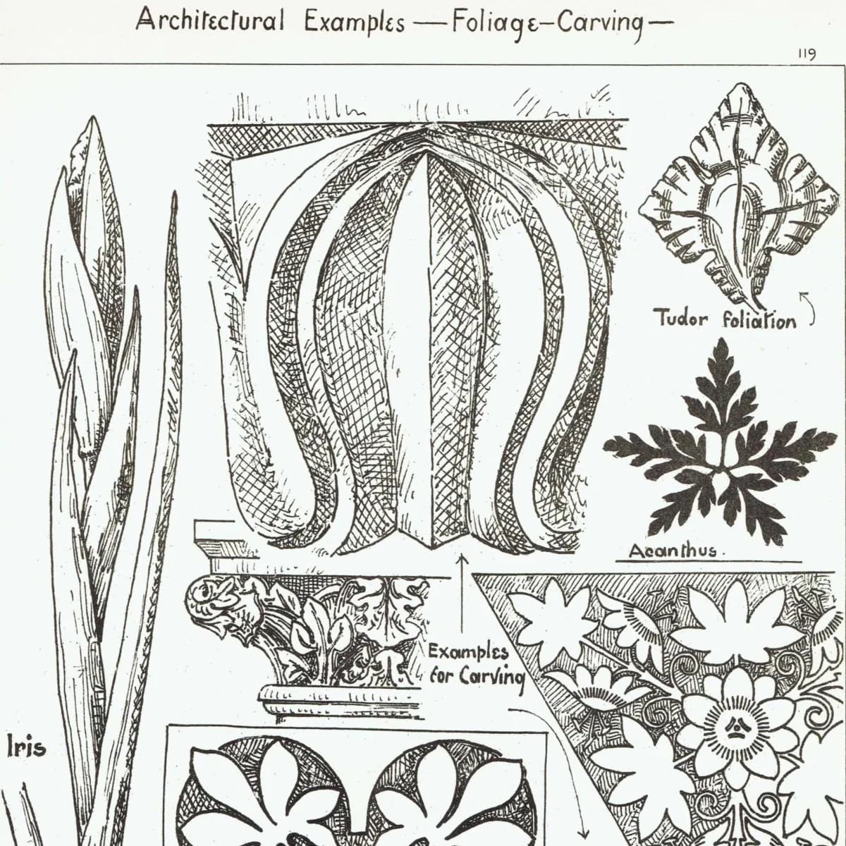 1898 Foliage Carving Architecture Print - Tudor Foliation, Acanthus & Iris Motifs - Antique Decorative Design Plate - 8 x 10.75 in