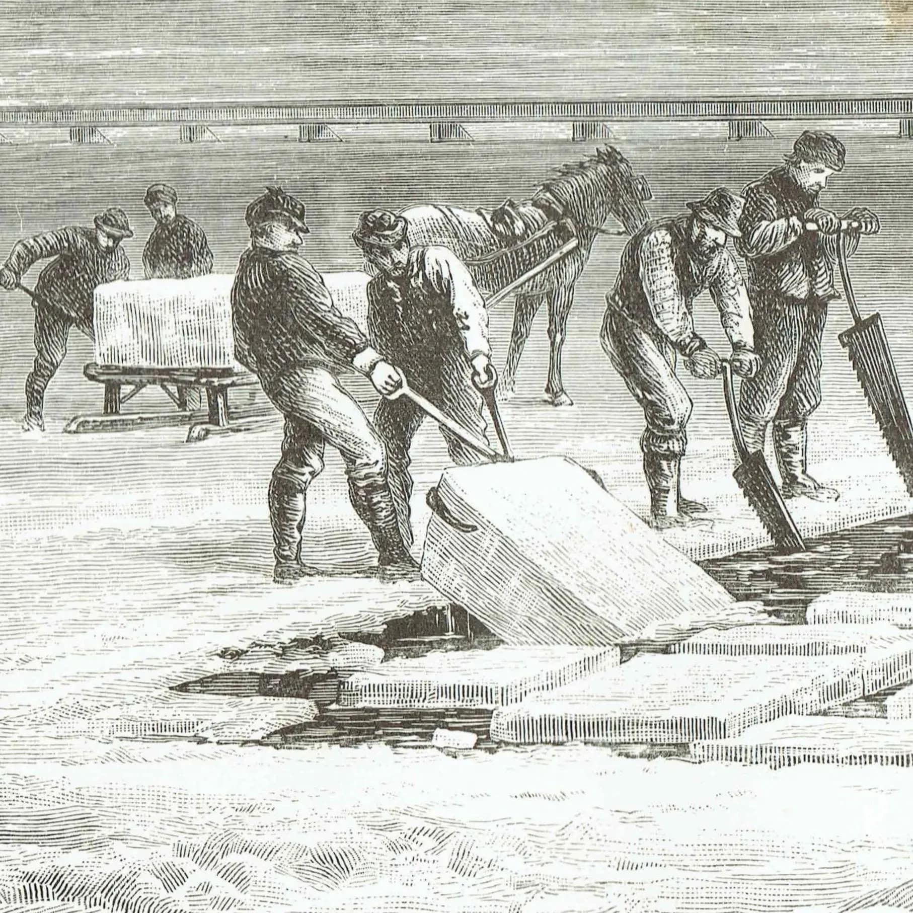 1885 Ice Cutting on the St. Lawrence - Antique Print By Lorne - Canadian Pictures Victorian Labour Scene - 10 x 7 in