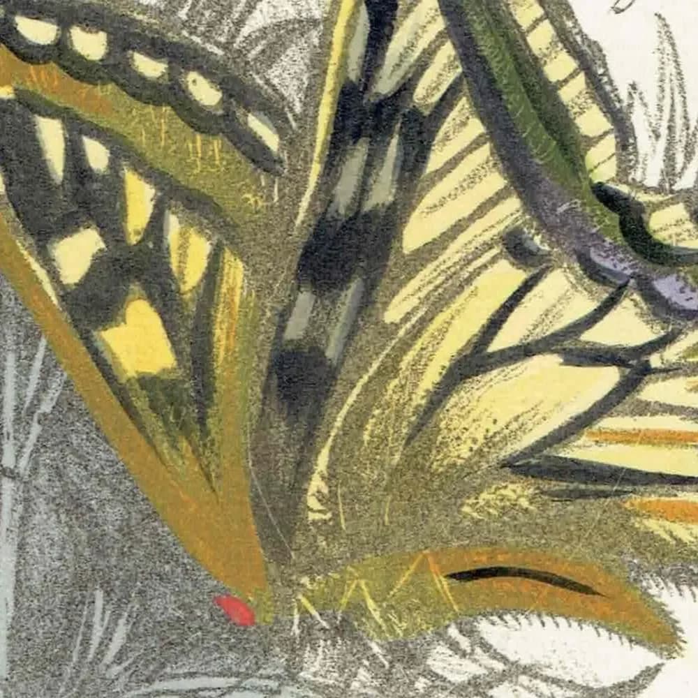 1859 Swallowtail & Brimstone Butterflies - Hand-Coloured Lithograph by Henry Noel Humphreys, Plate I - 7 x 10.4 in