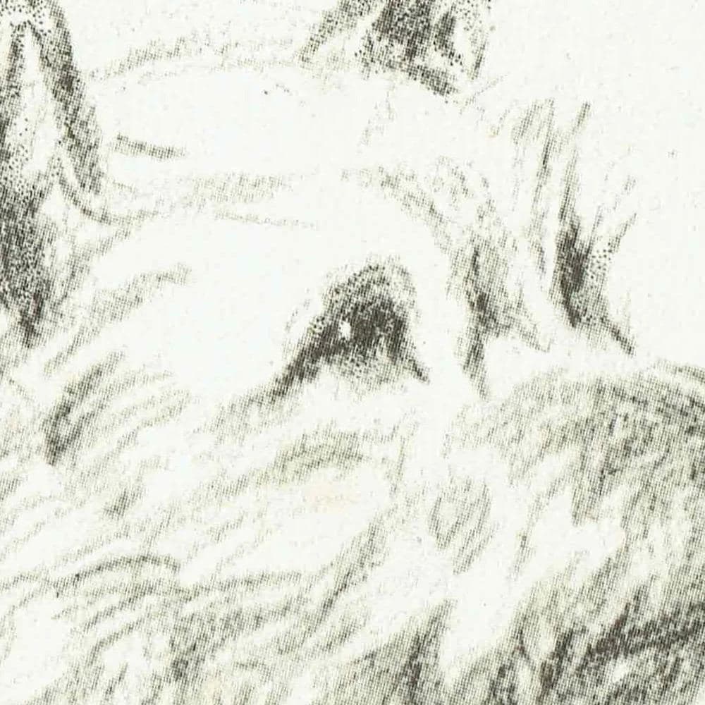 1946 Cairn Terrier 'Judy' - Original Vintage Print By Dawson - Dog Portrait Pet Art Neighbours Book Illustration - 7 x 9.5 in
