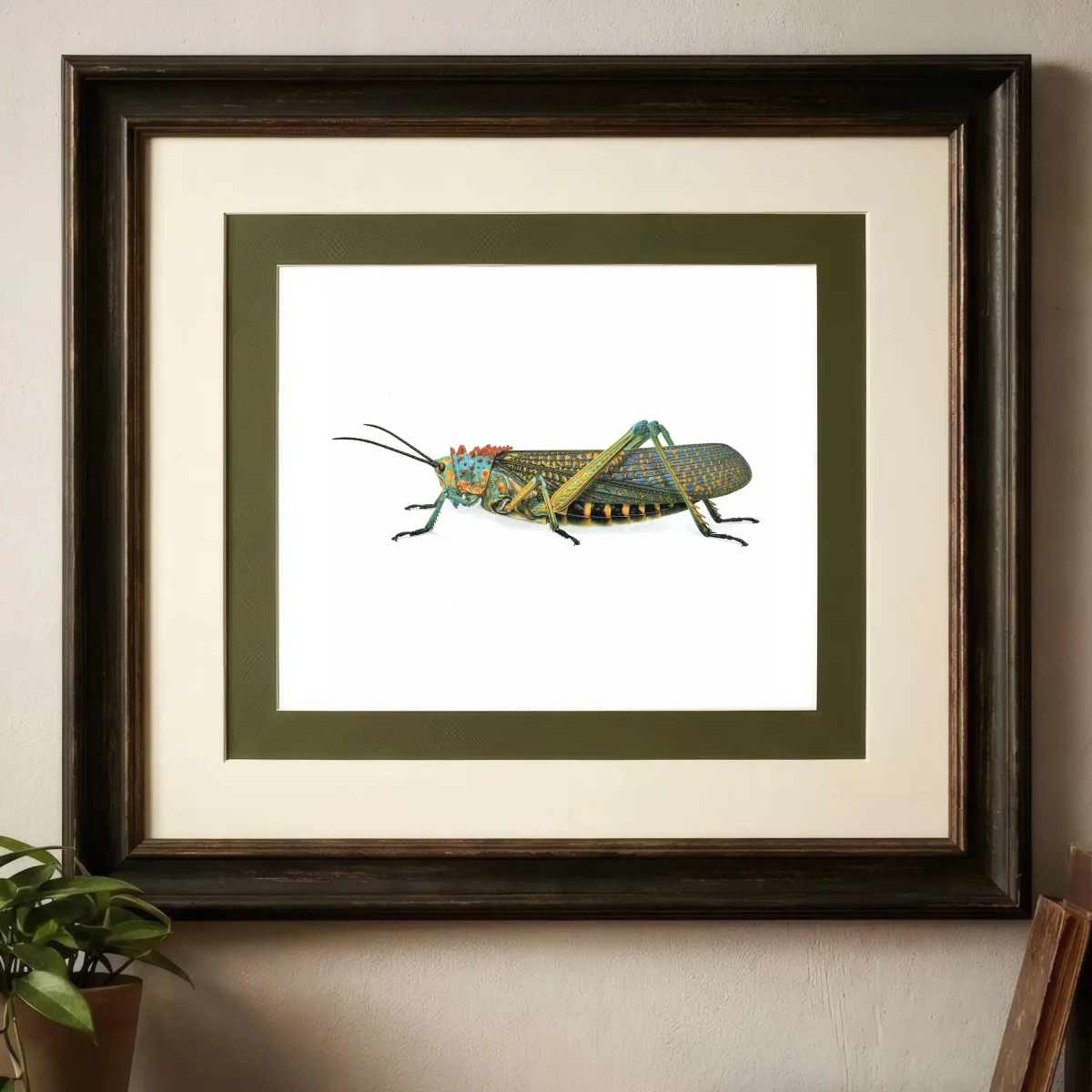 1986 Grasshopper Phymateus Saxosus Print - Durin Bernard Les Insectes - Scientific Illustration- Coquerel Entomology - 11 x 13 in