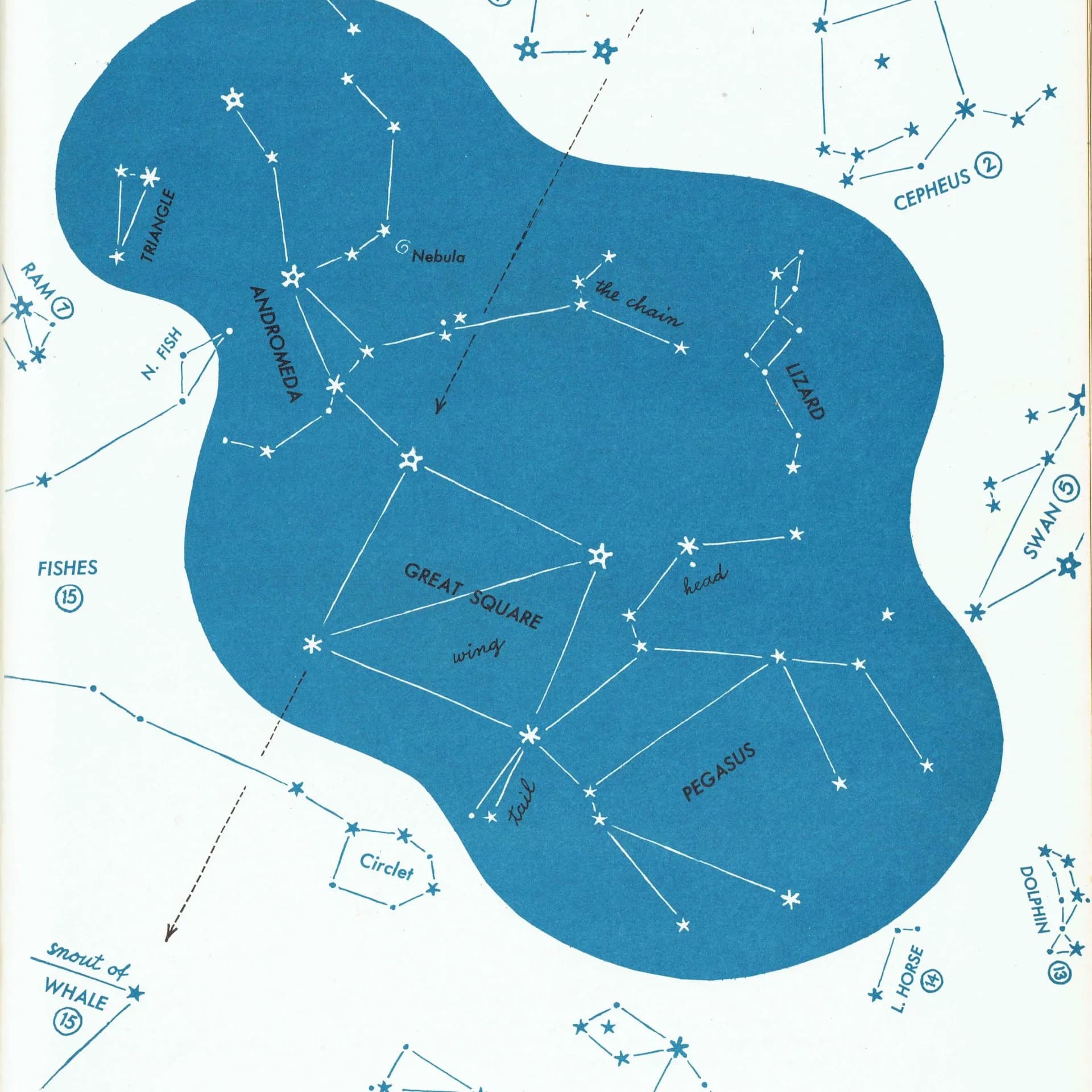 1952 Pegasus Constellation - Original Vintage Print By Rey - Astronomy Star Chart Celestial Educational Zodiac Map - 8 x 11 in