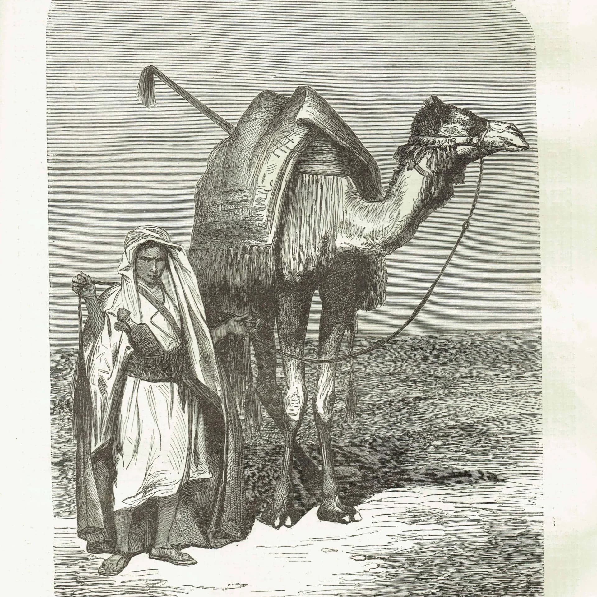 1871 Camel Driver - Antique Engraving - Illustrated Travels Middle East Desert Portrait - 8 x 11.5 in